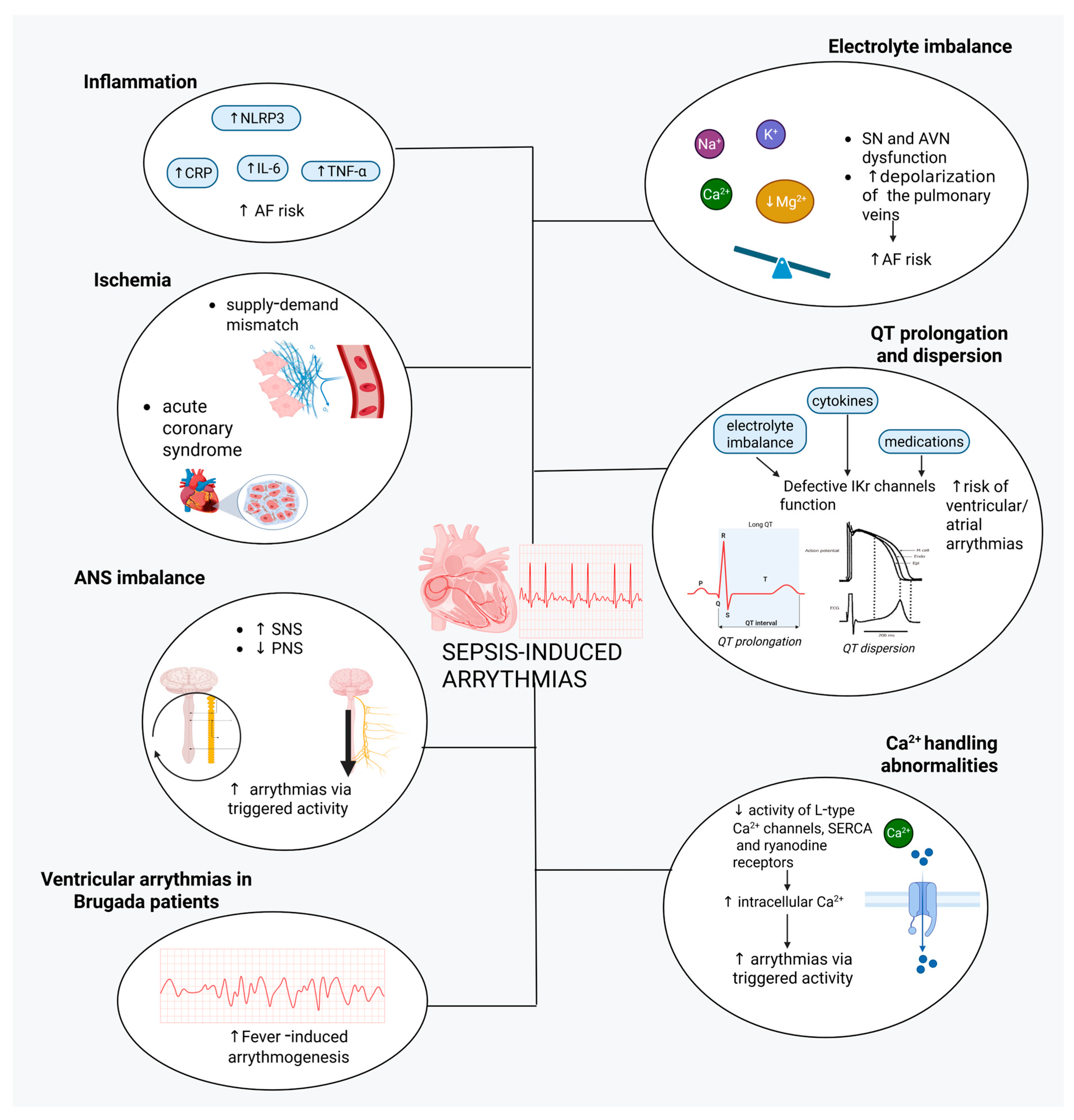 Biomedicines 13 02643 g003 Biomedicines 13 02643 g003