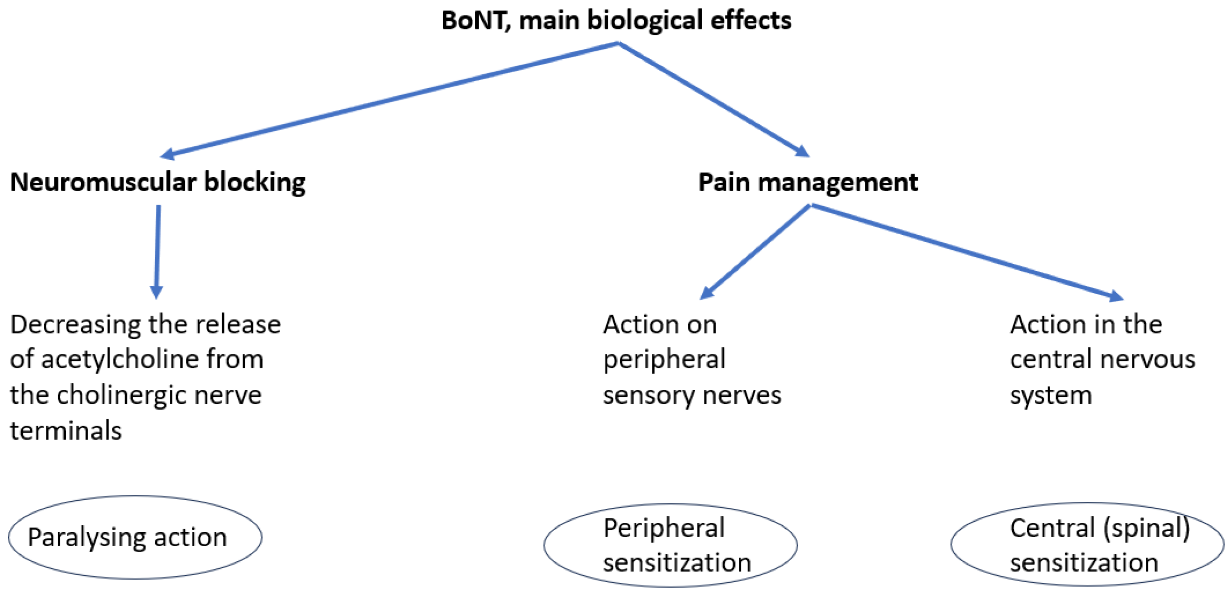 Biomedicines 13 02647 g001 Biomedicines 13 02647 g001