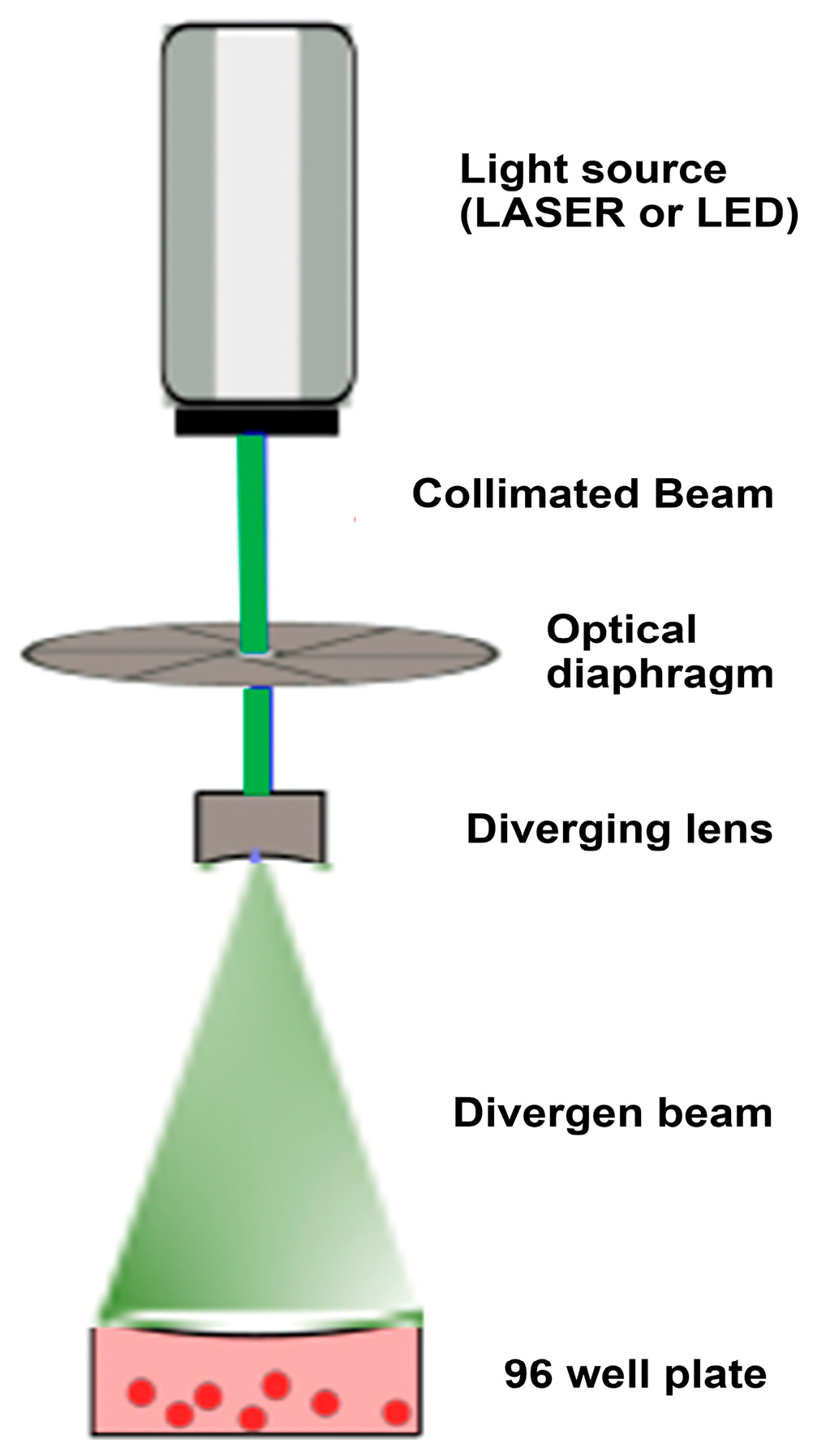 Biomedicines 13 02649 g001 Biomedicines 13 02649 g001
