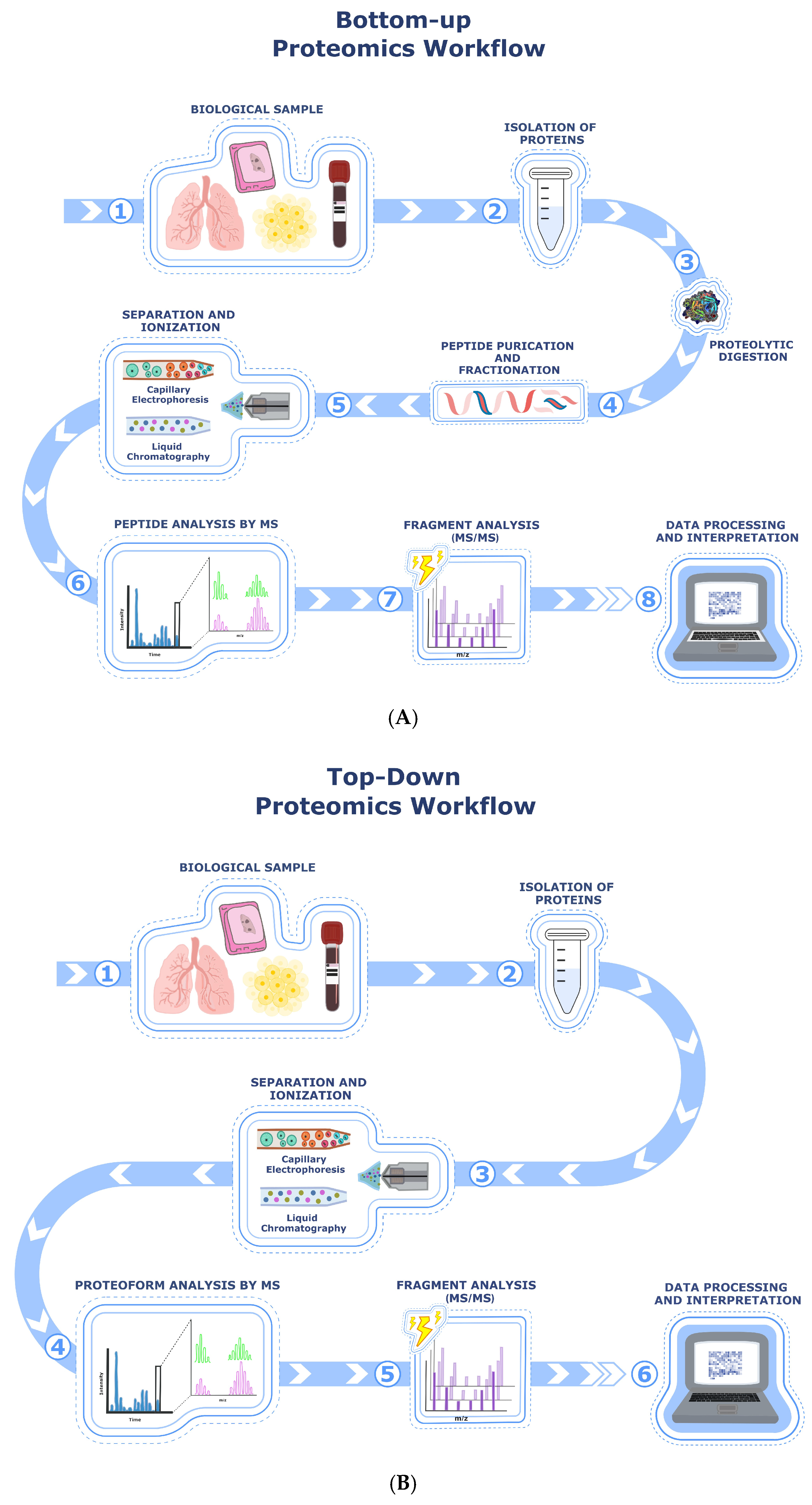 Biomedicines 13 02656 g001 Biomedicines 13 02656 g001