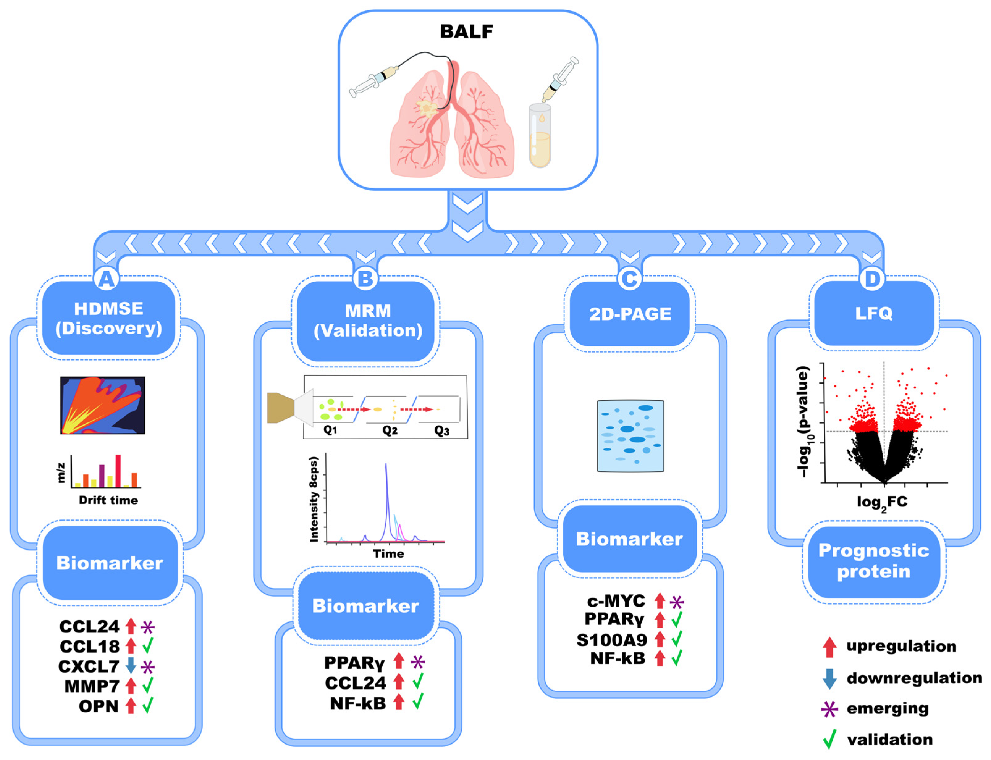 Biomedicines 13 02656 g003 Biomedicines 13 02656 g003
