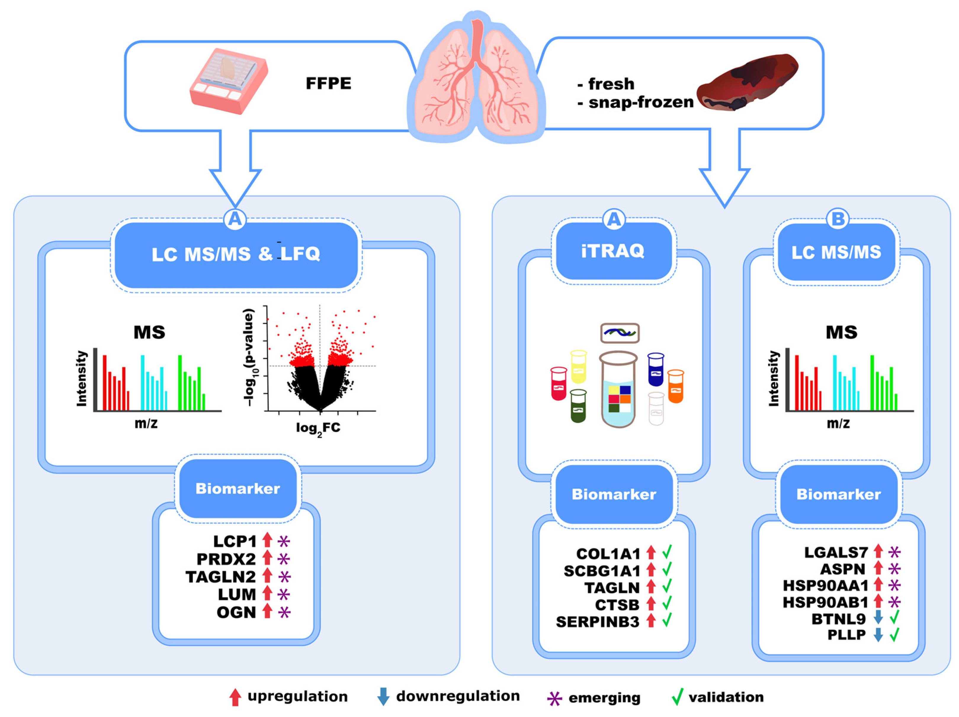 Biomedicines 13 02656 g004 Biomedicines 13 02656 g004