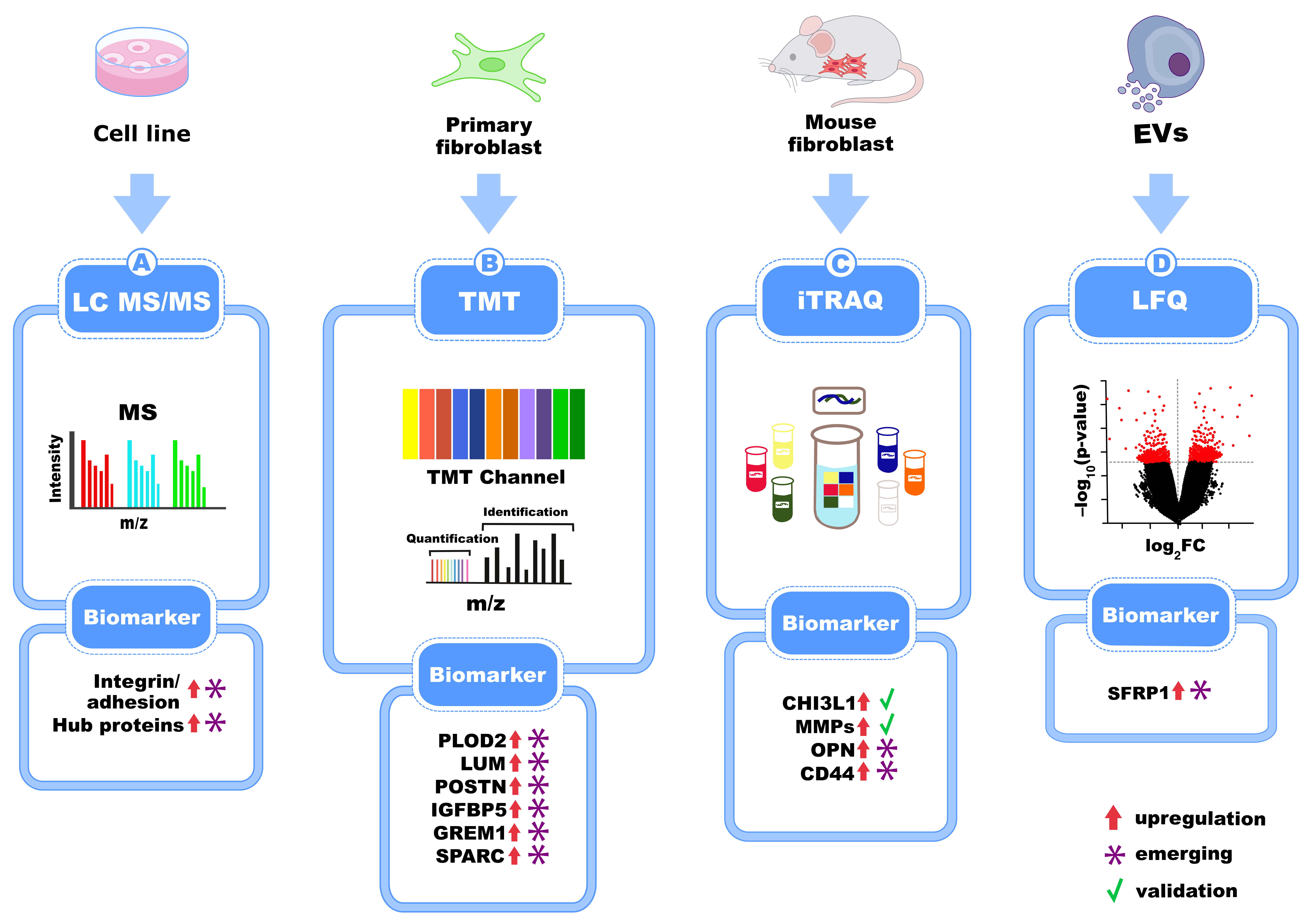 Biomedicines 13 02656 g005 Biomedicines 13 02656 g005