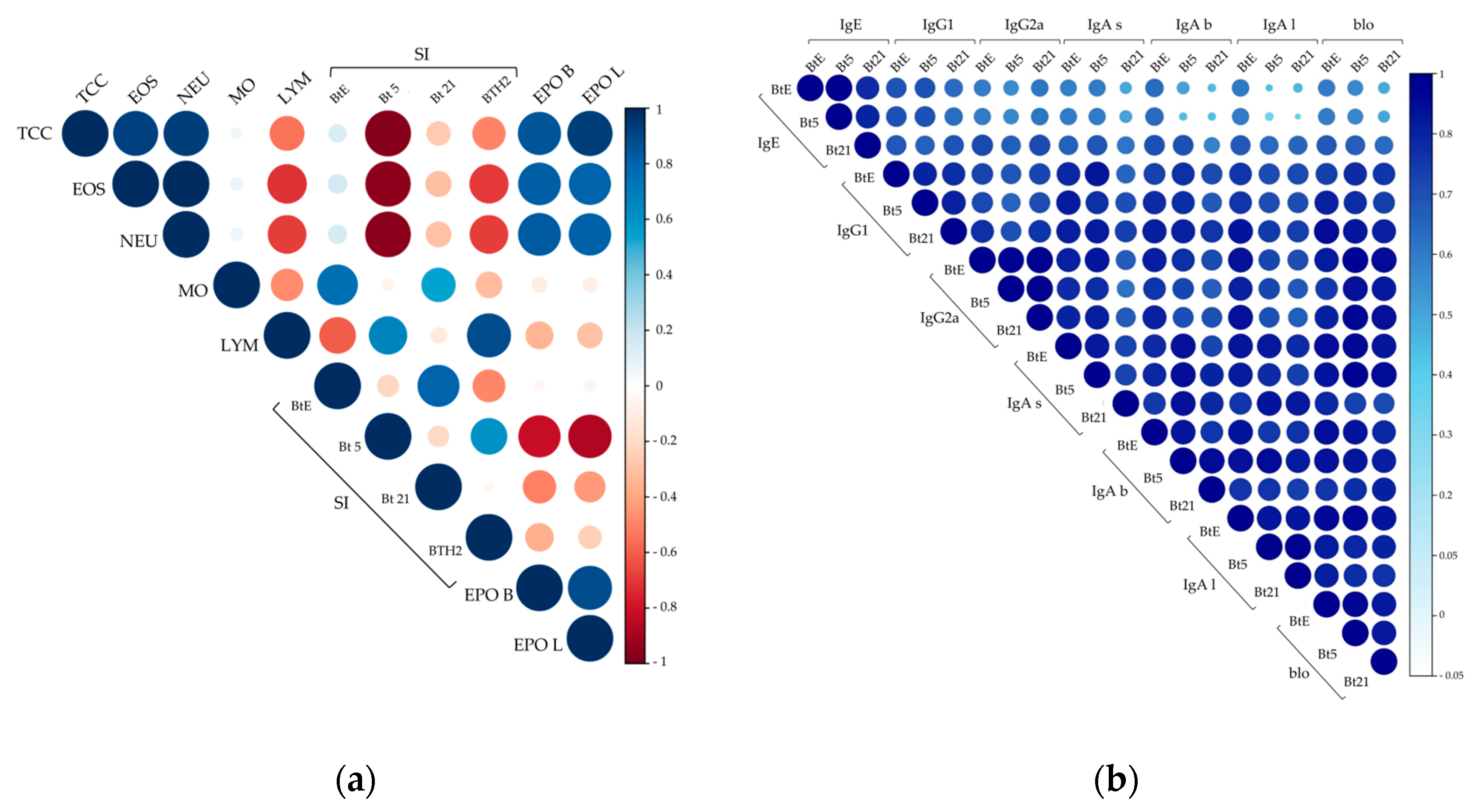Biomedicines 13 02657 g007 Biomedicines 13 02657 g007