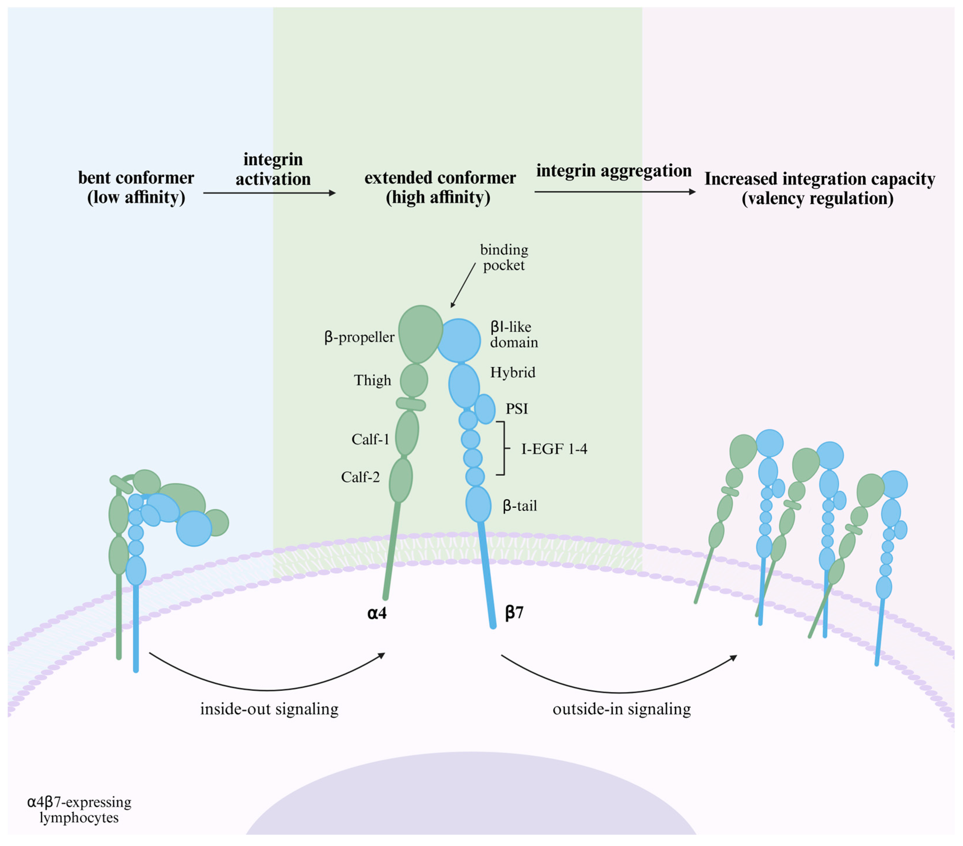 Biomedicines 13 02659 g001 Biomedicines 13 02659 g001