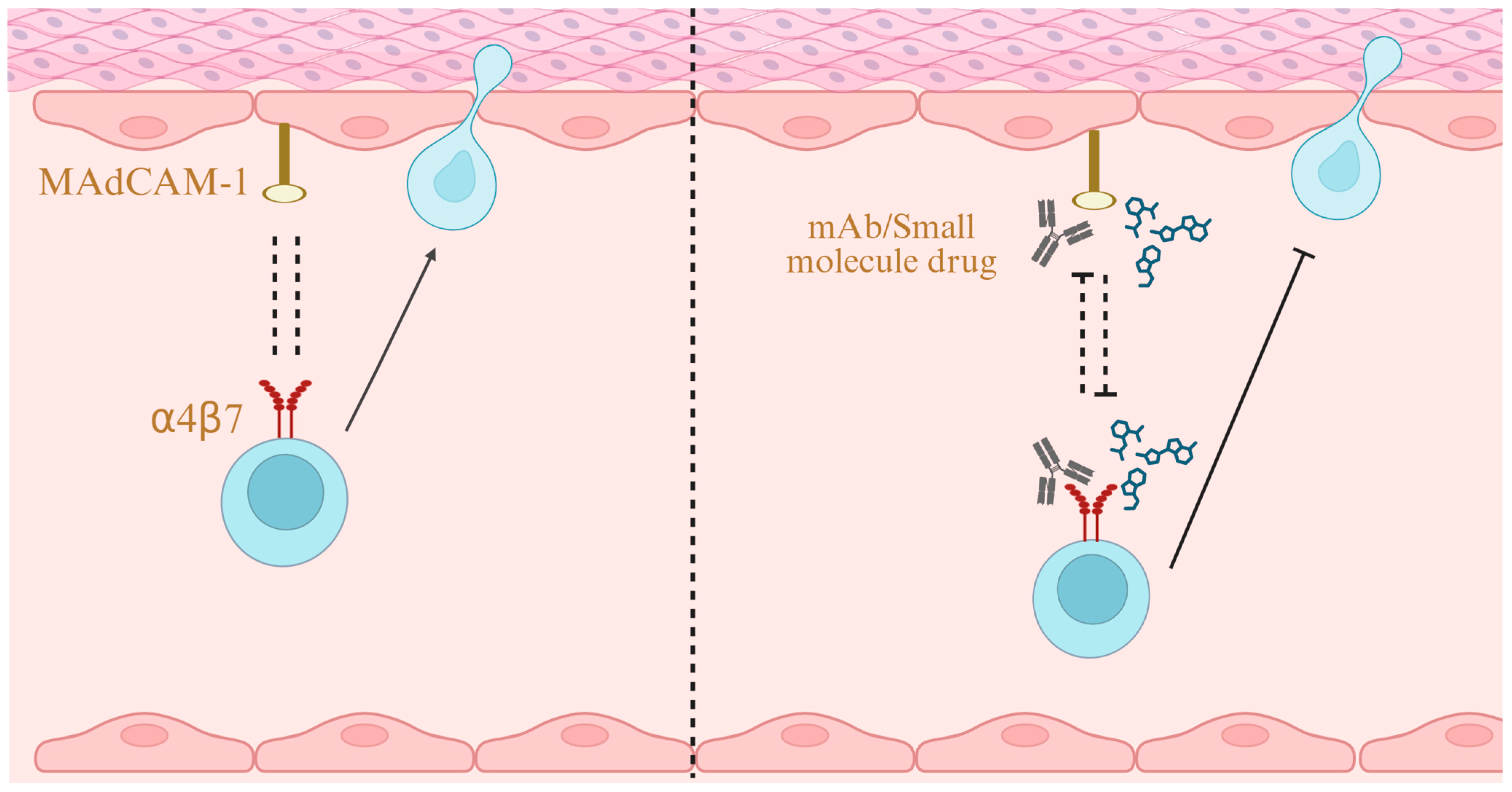 Biomedicines 13 02659 g004 Biomedicines 13 02659 g004