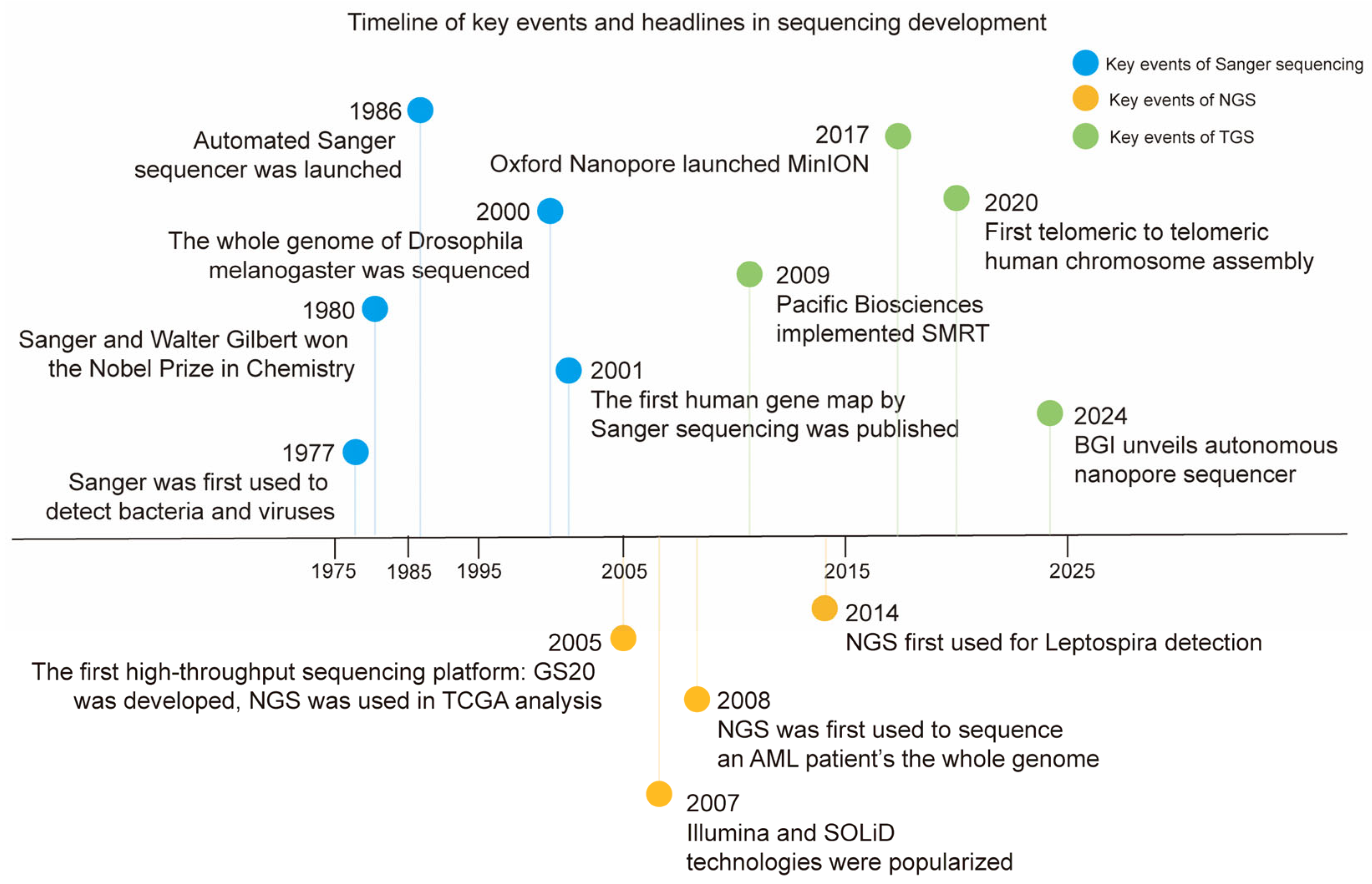 Biomedicines 13 02660 g002 Biomedicines 13 02660 g002