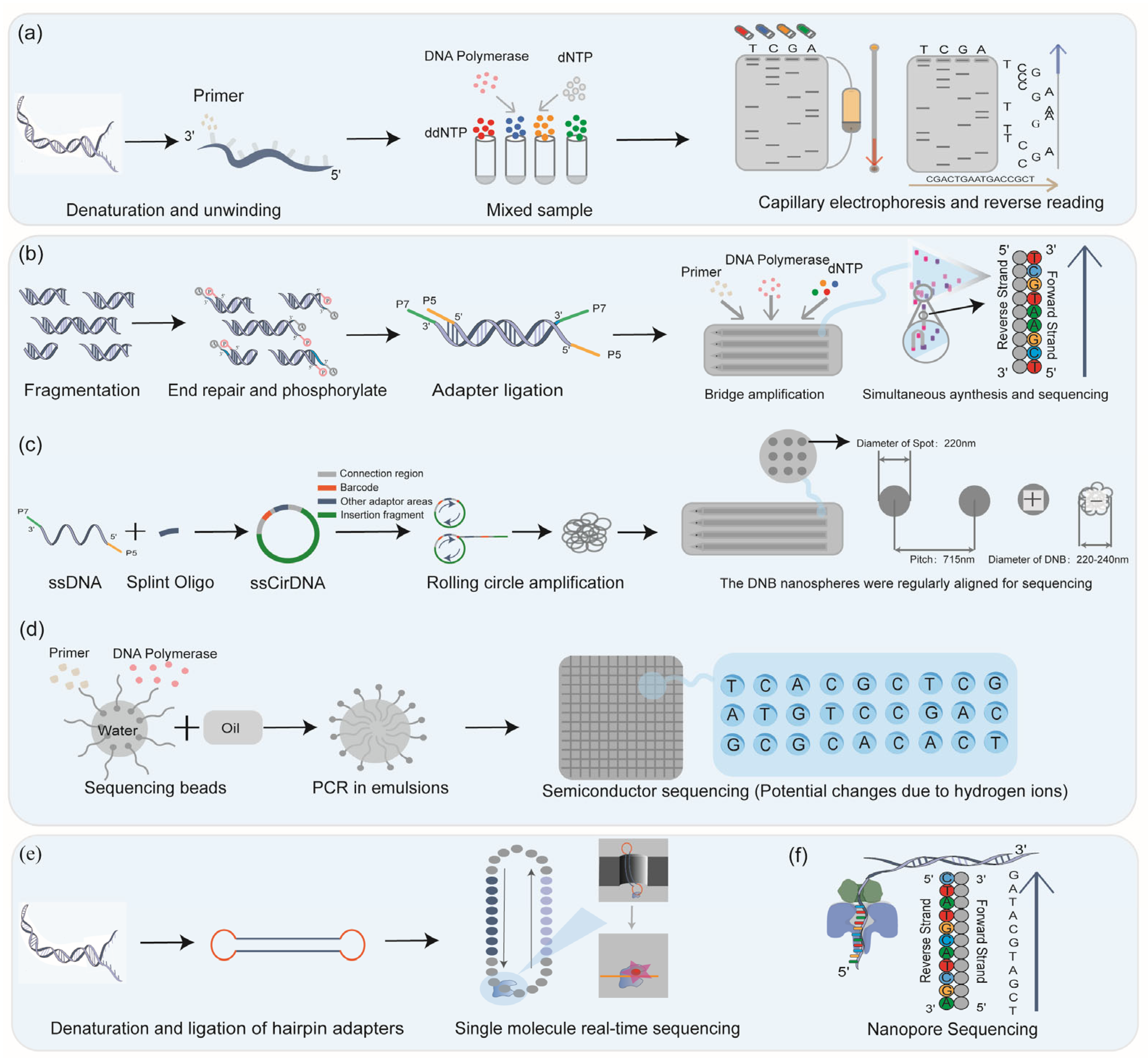 Biomedicines 13 02660 g003 Biomedicines 13 02660 g003