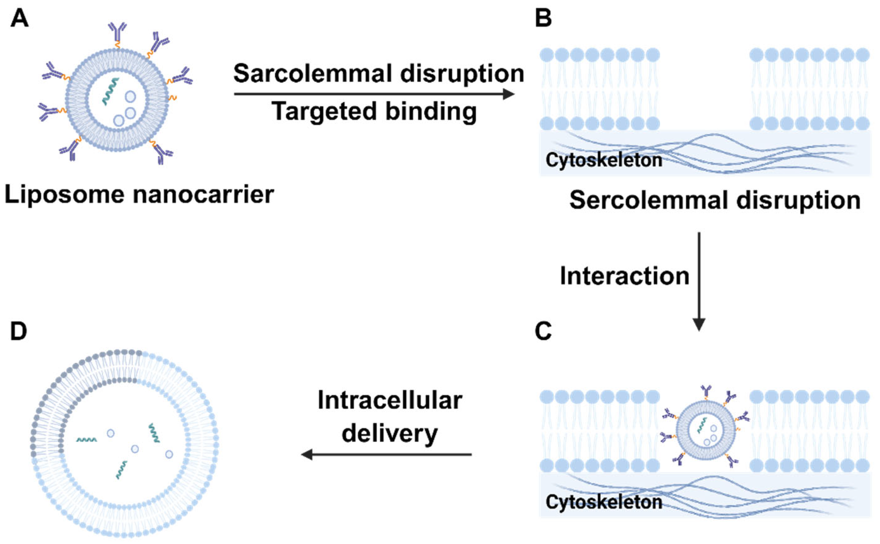 Biomedicines 13 02666 g002 Biomedicines 13 02666 g002