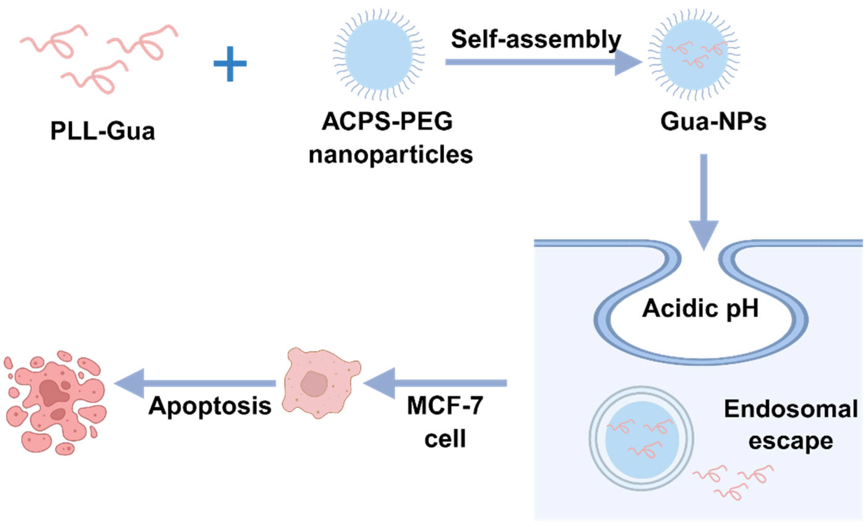 Biomedicines 13 02666 g003 Biomedicines 13 02666 g003