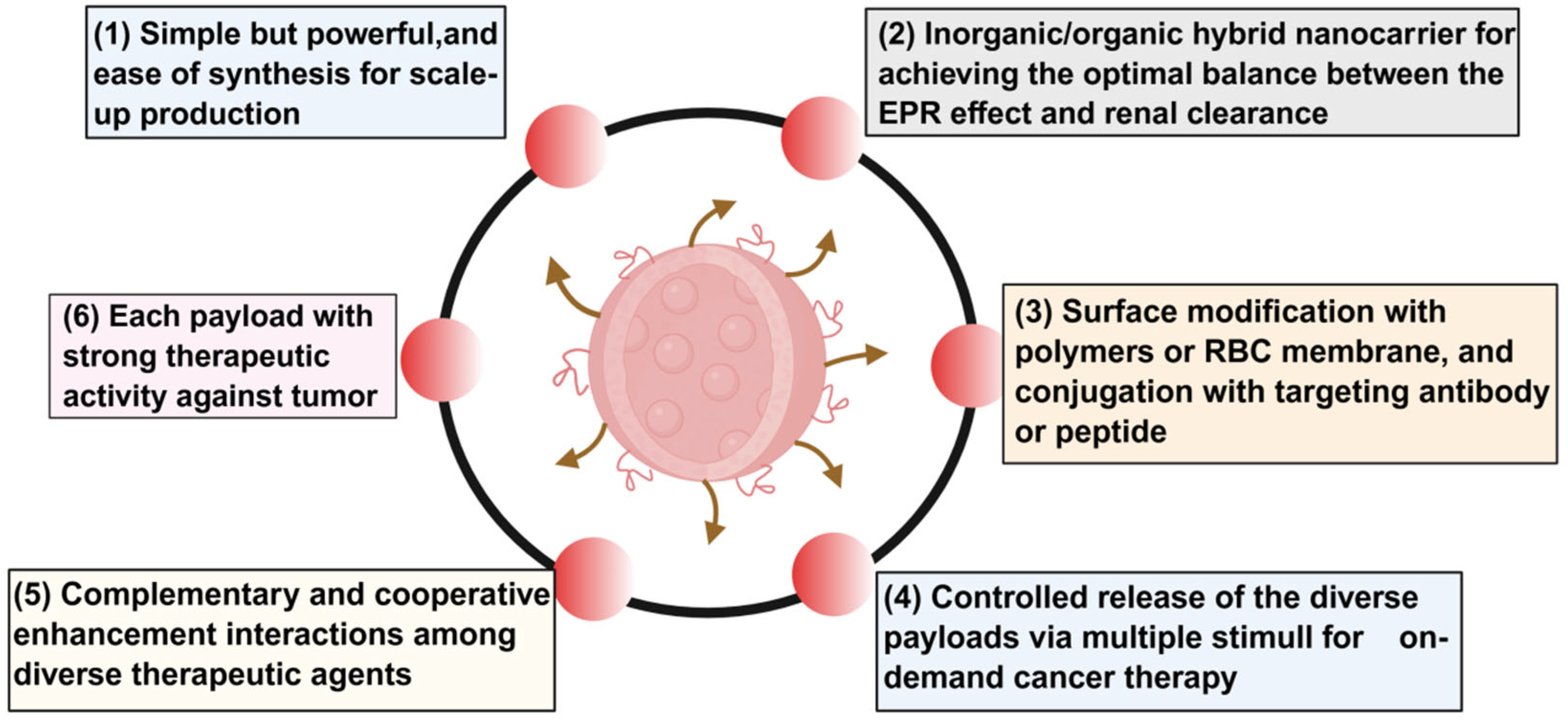 Biomedicines 13 02666 g005 Biomedicines 13 02666 g005