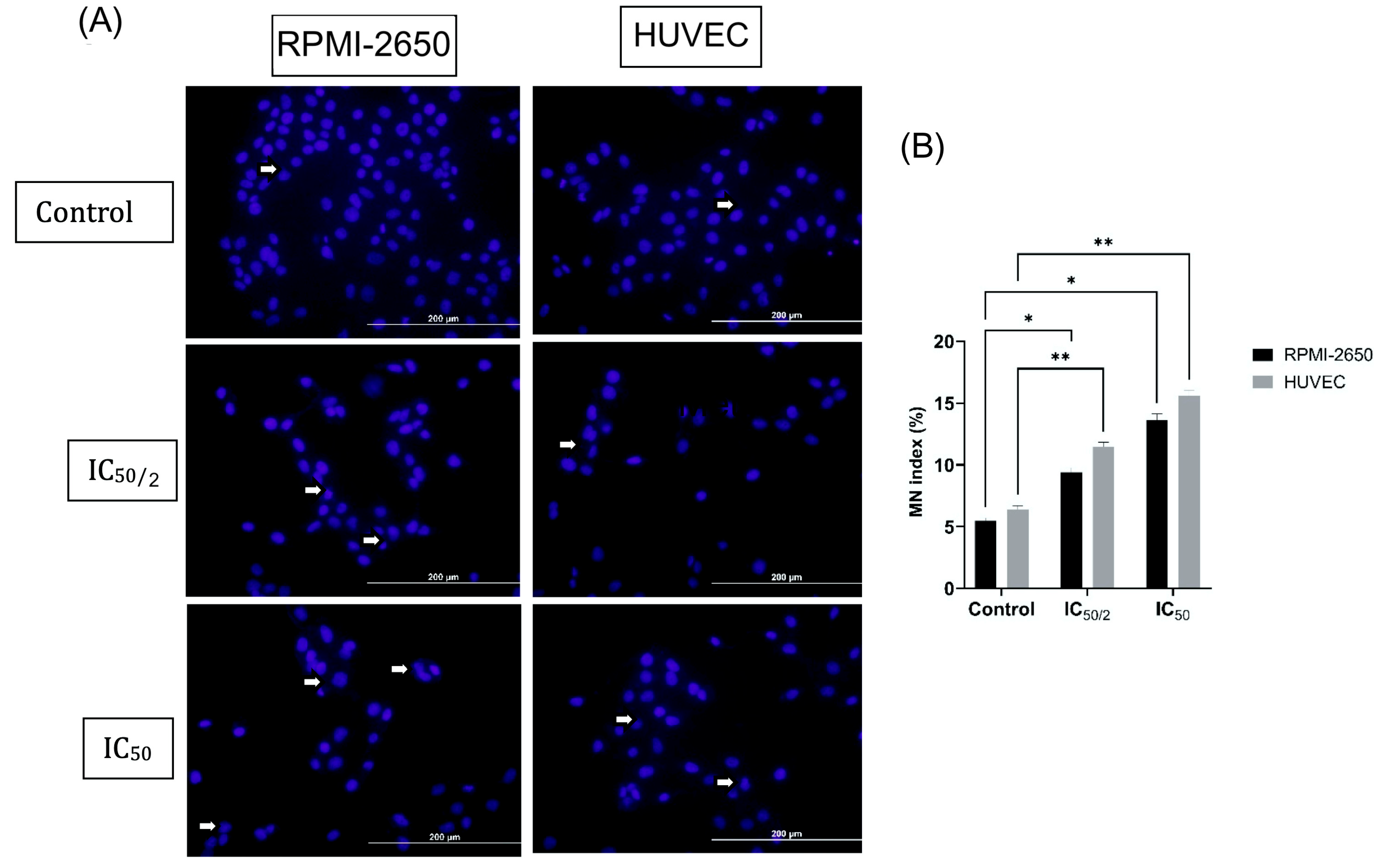 Biomedicines 13 02668 g003 Biomedicines 13 02668 g003