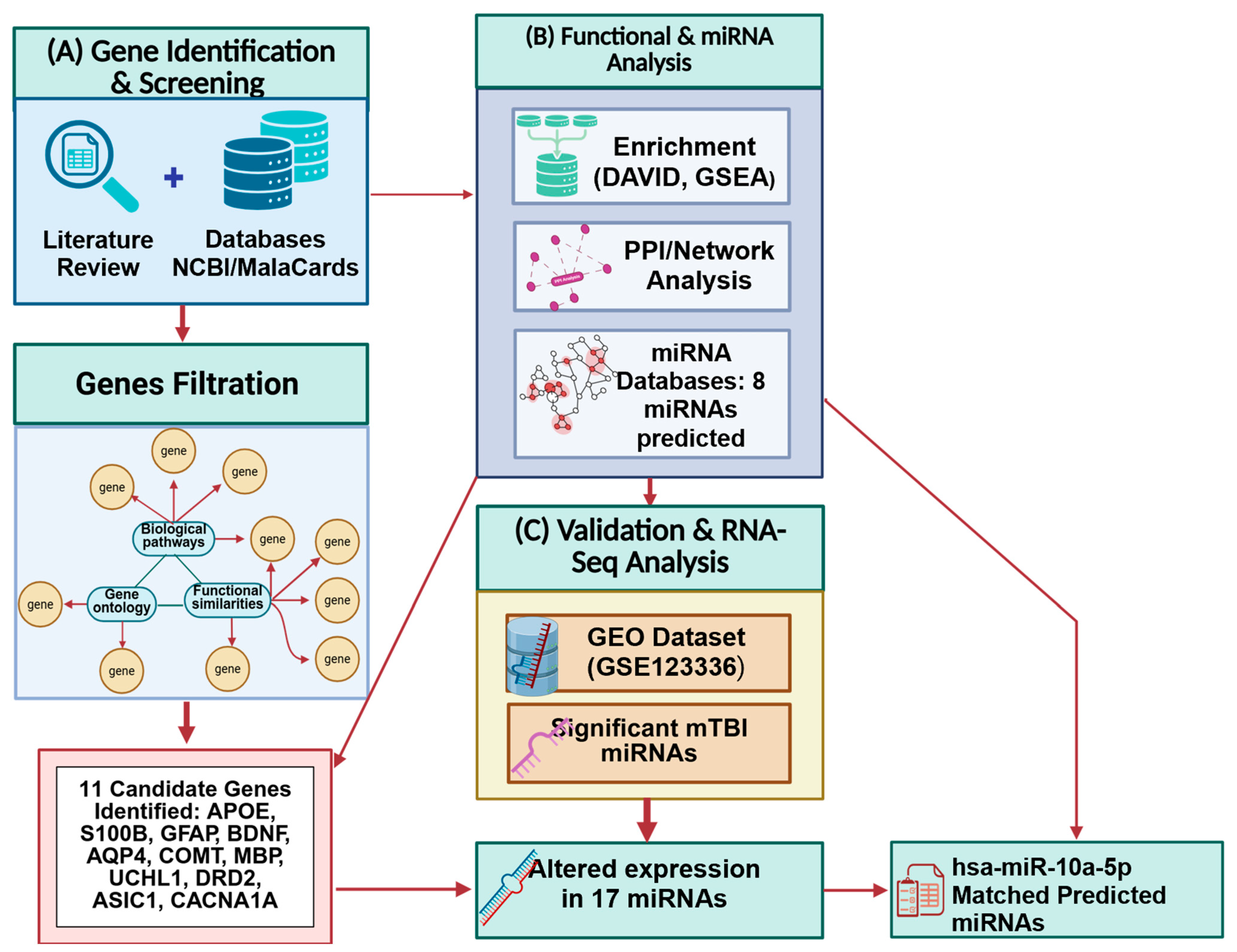 Biomedicines 13 02669 g001