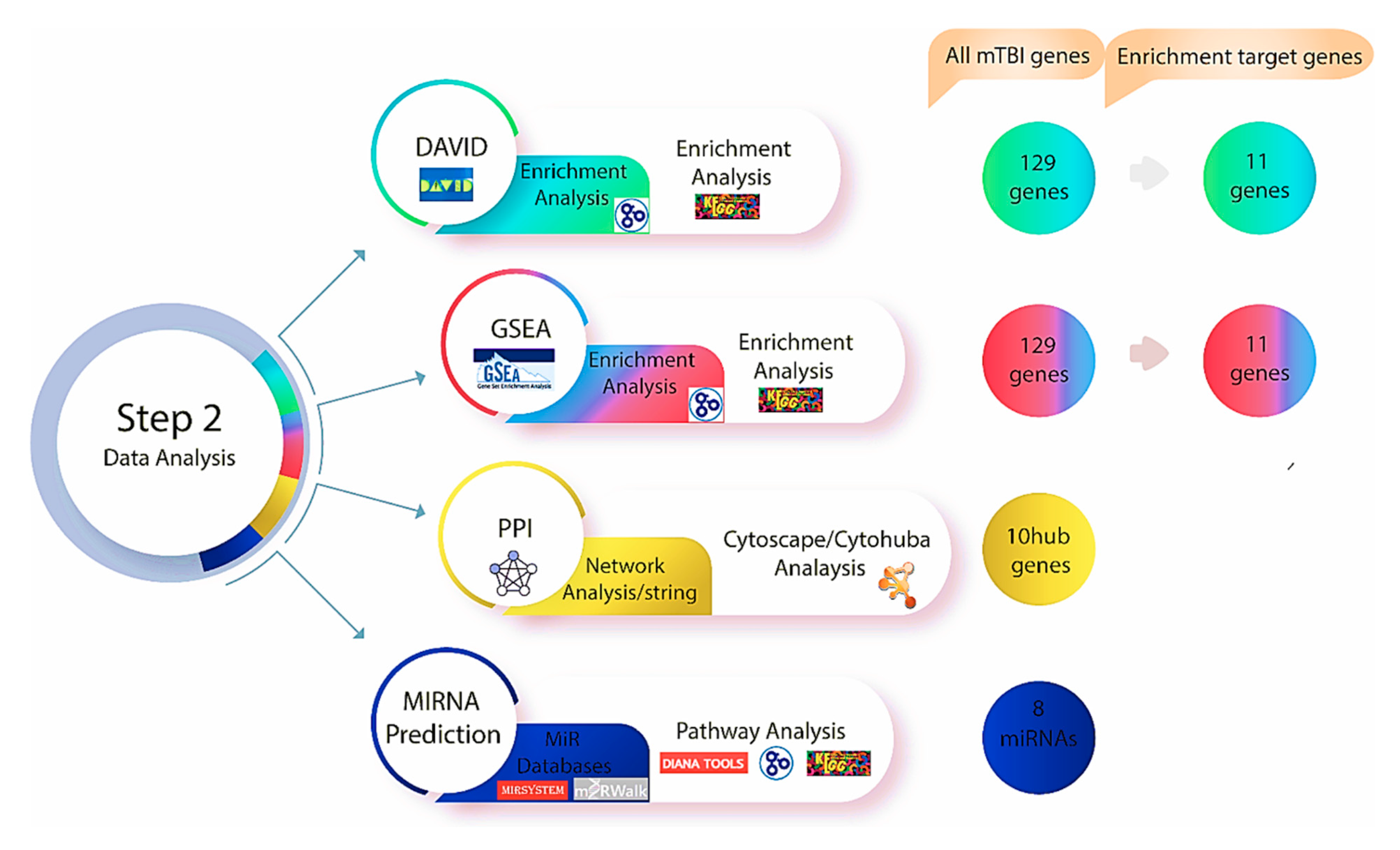 Biomedicines 13 02669 g003
