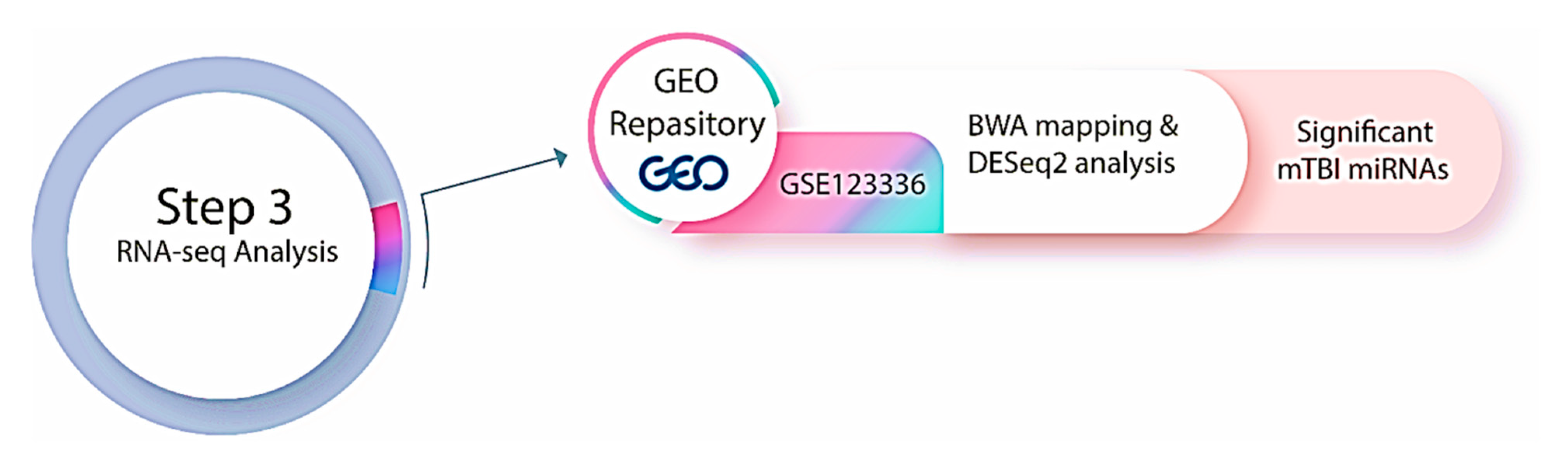 Biomedicines 13 02669 g004