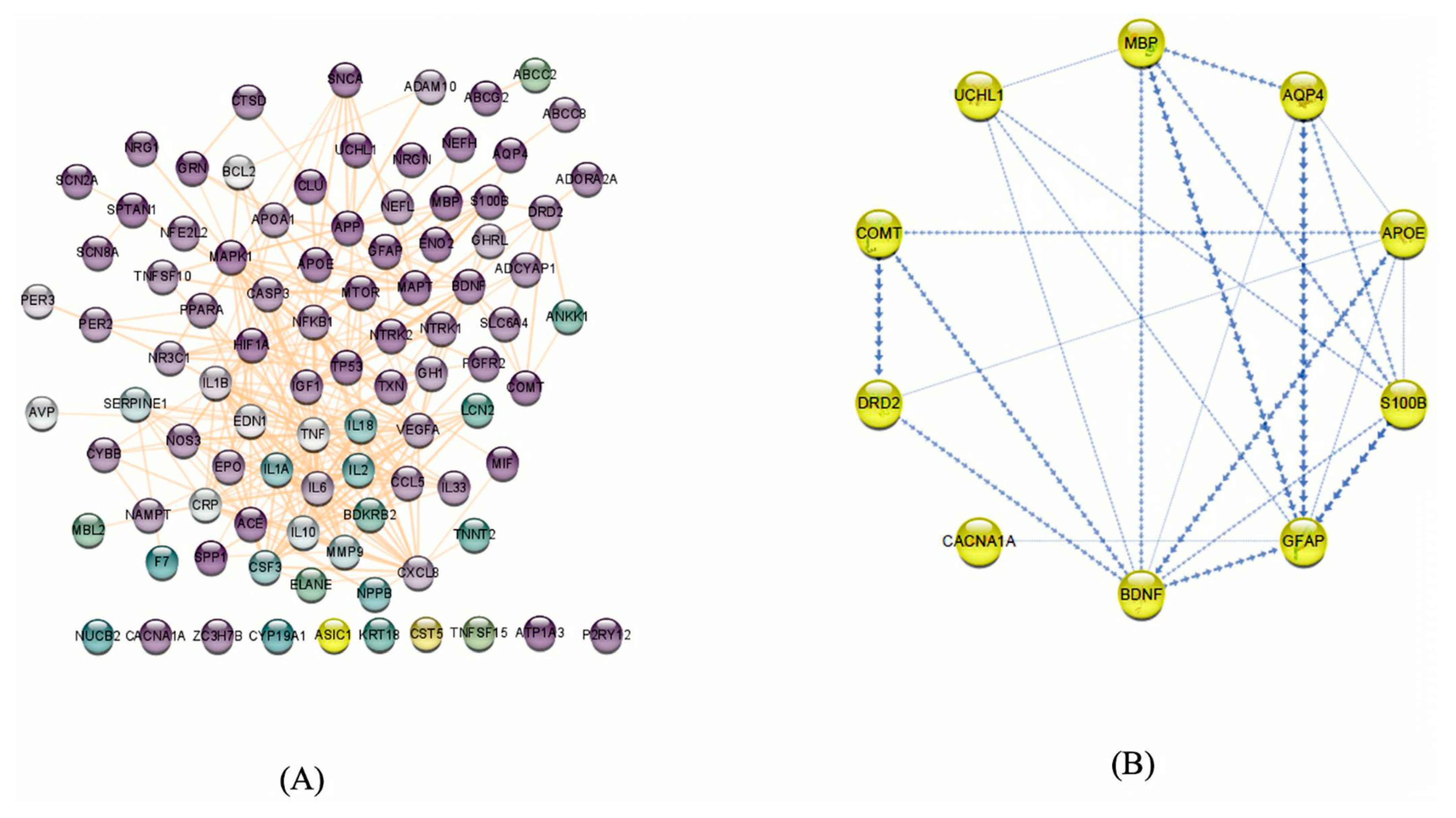 Biomedicines 13 02669 g005