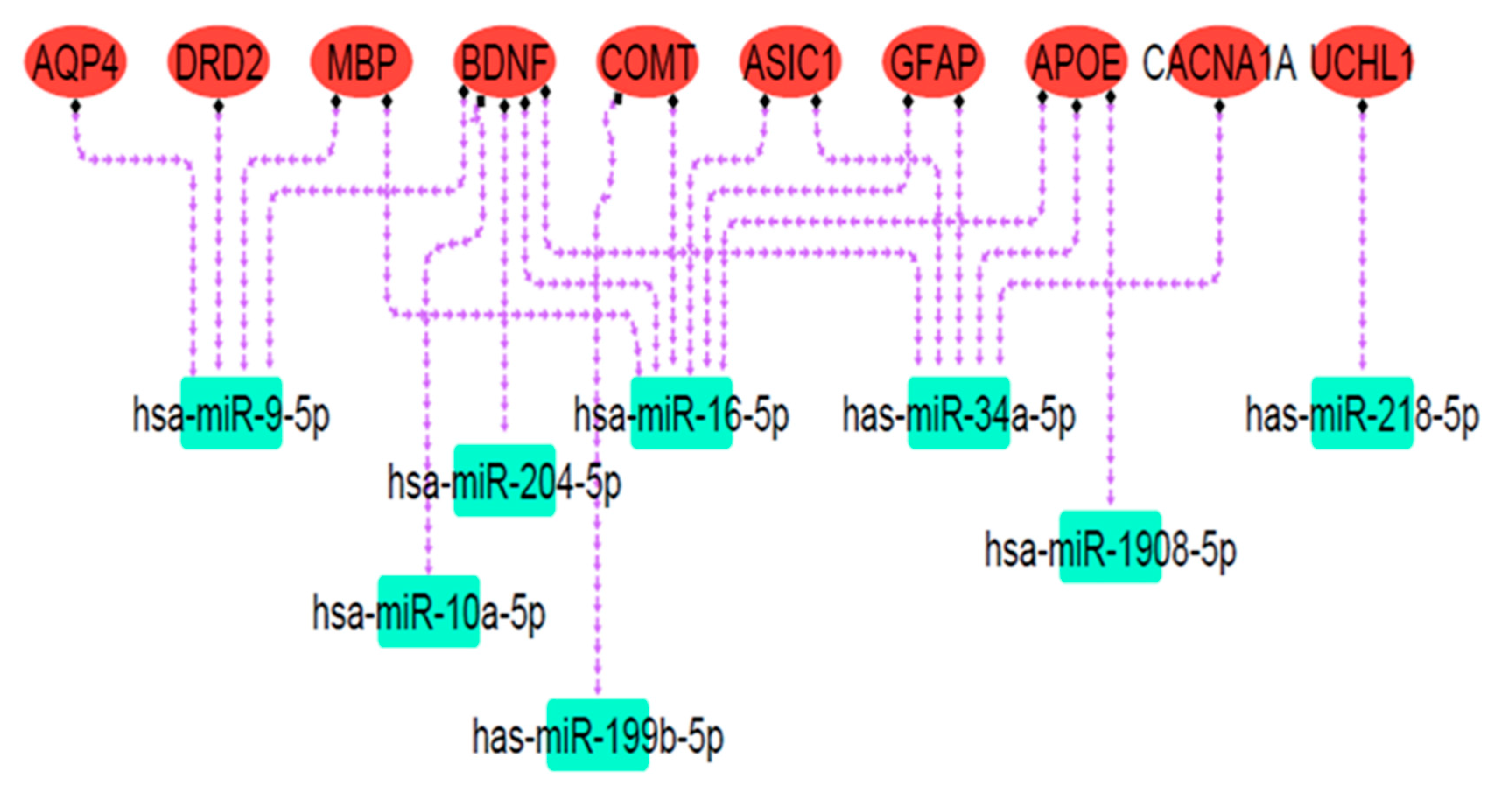 Biomedicines 13 02669 g007