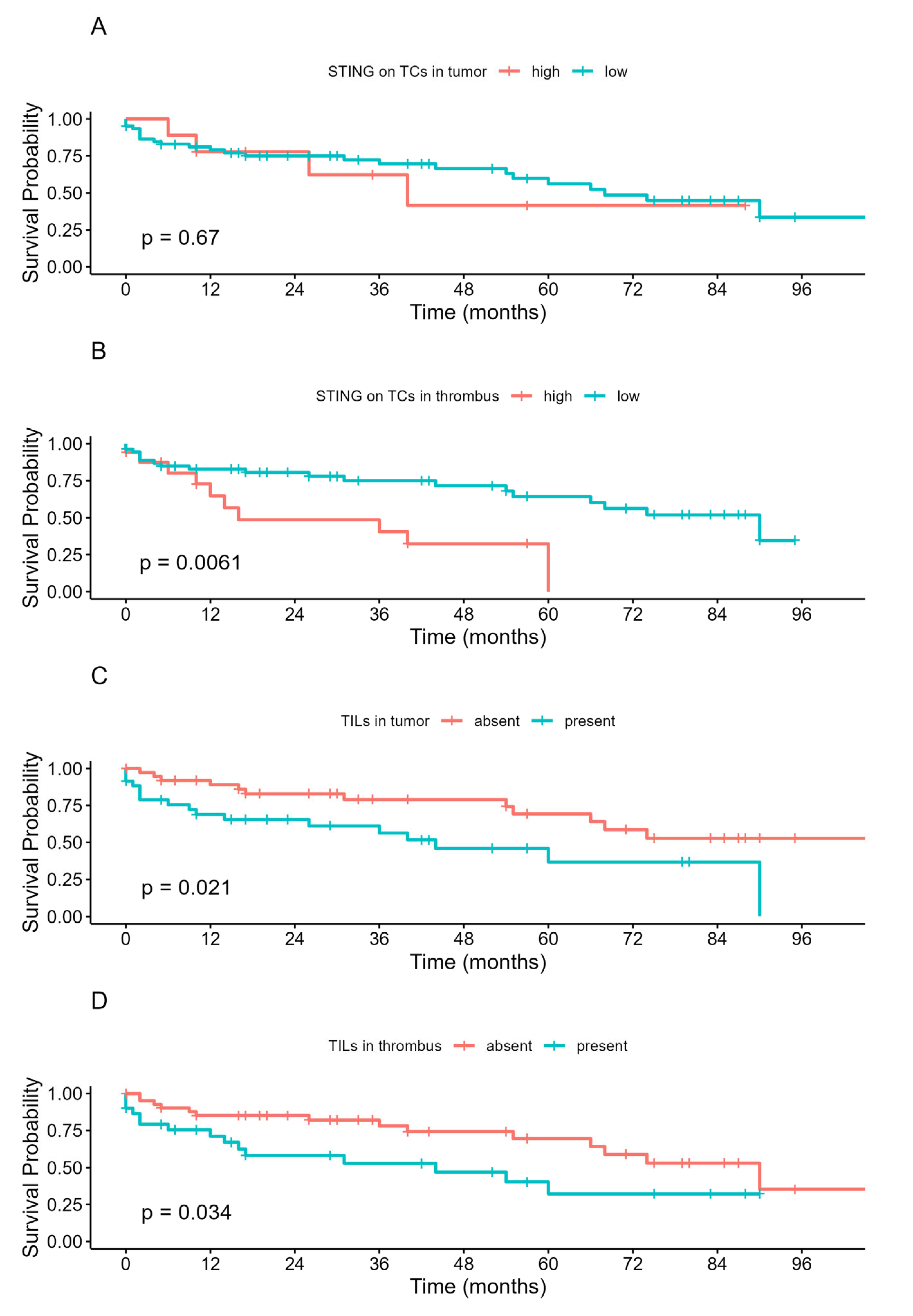 Biomedicines 13 02674 g005 Biomedicines 13 02674 g005