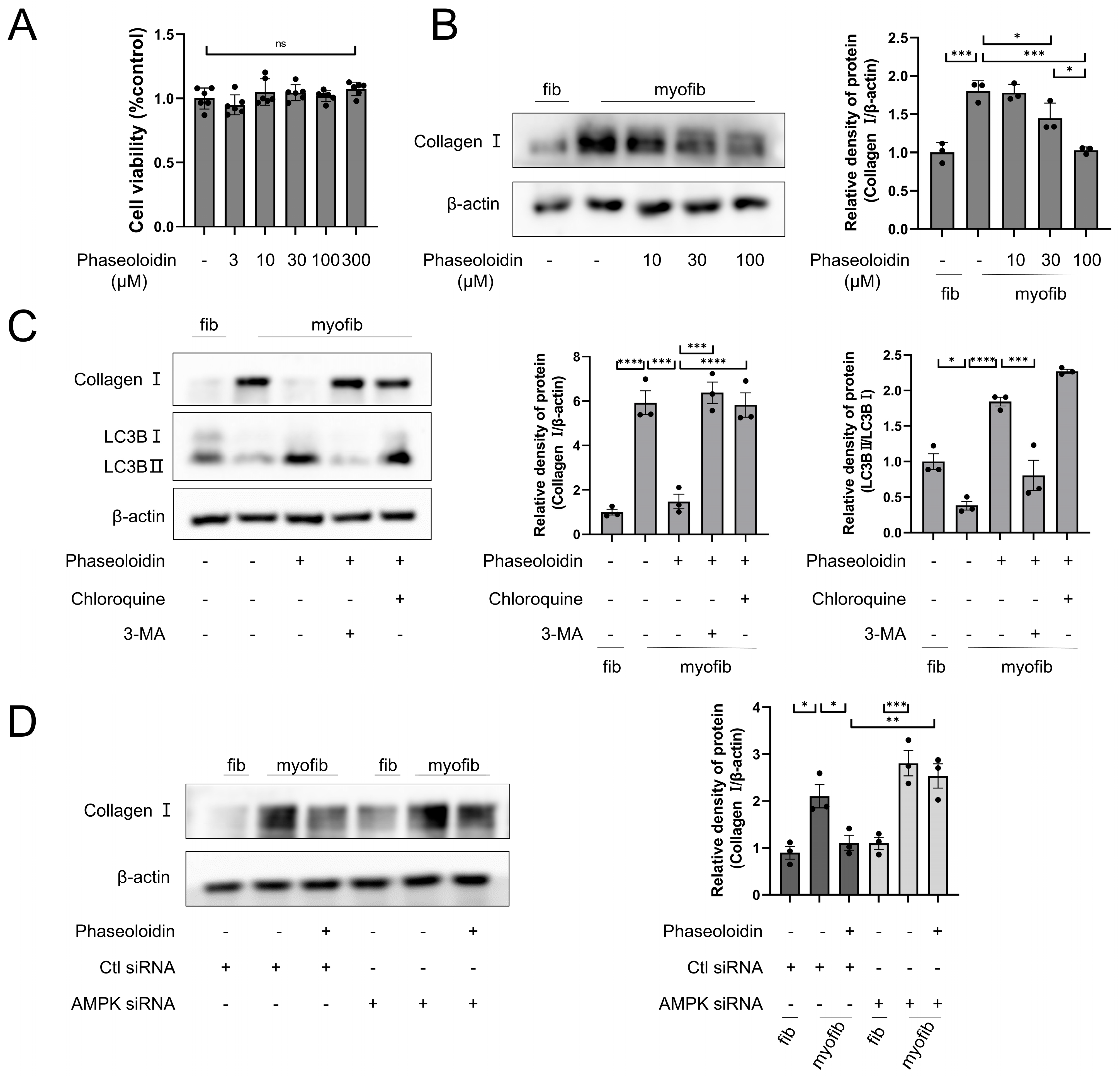 Biomedicines 13 02679 g003
