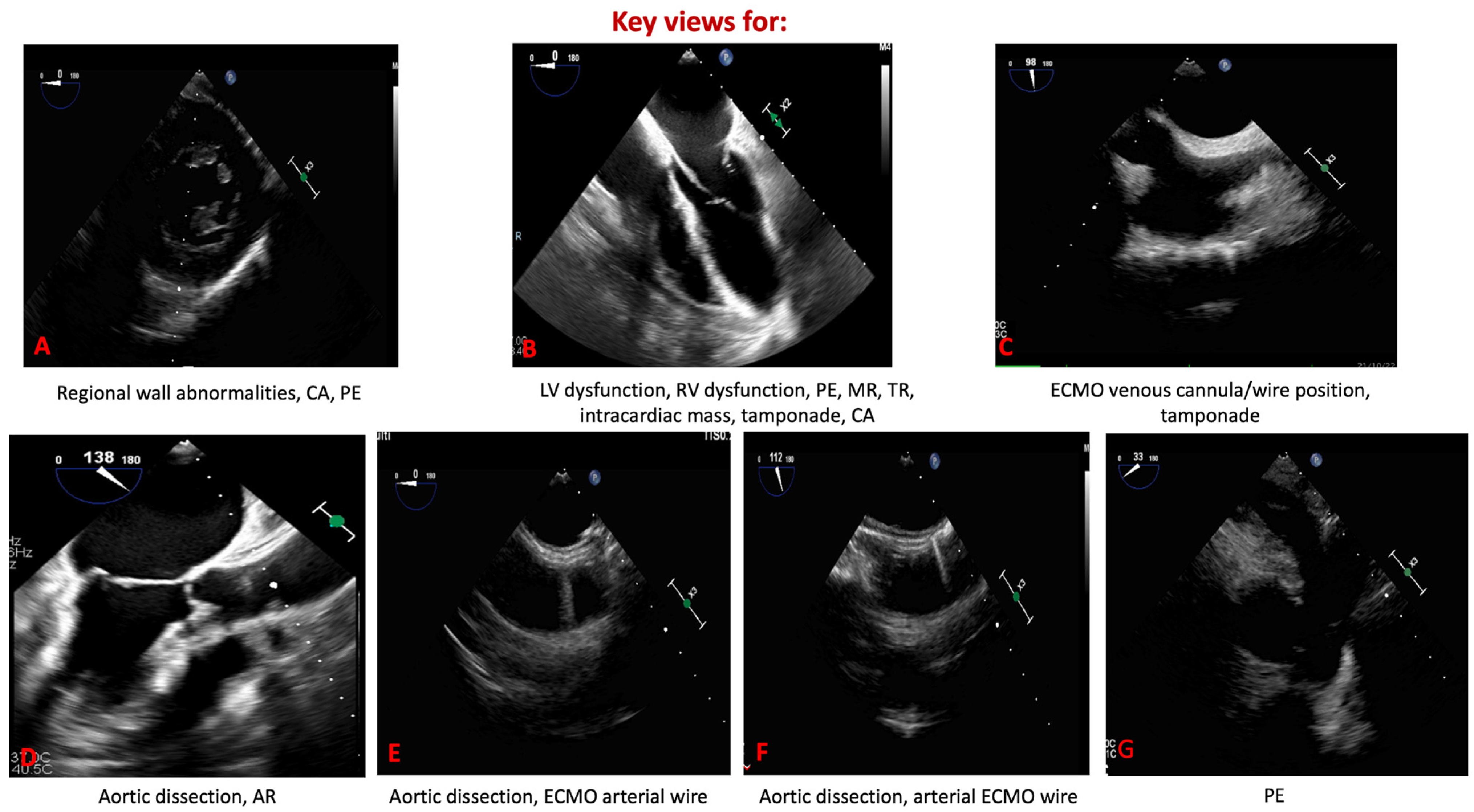 Biomedicines 13 02680 g003 Biomedicines 13 02680 g003