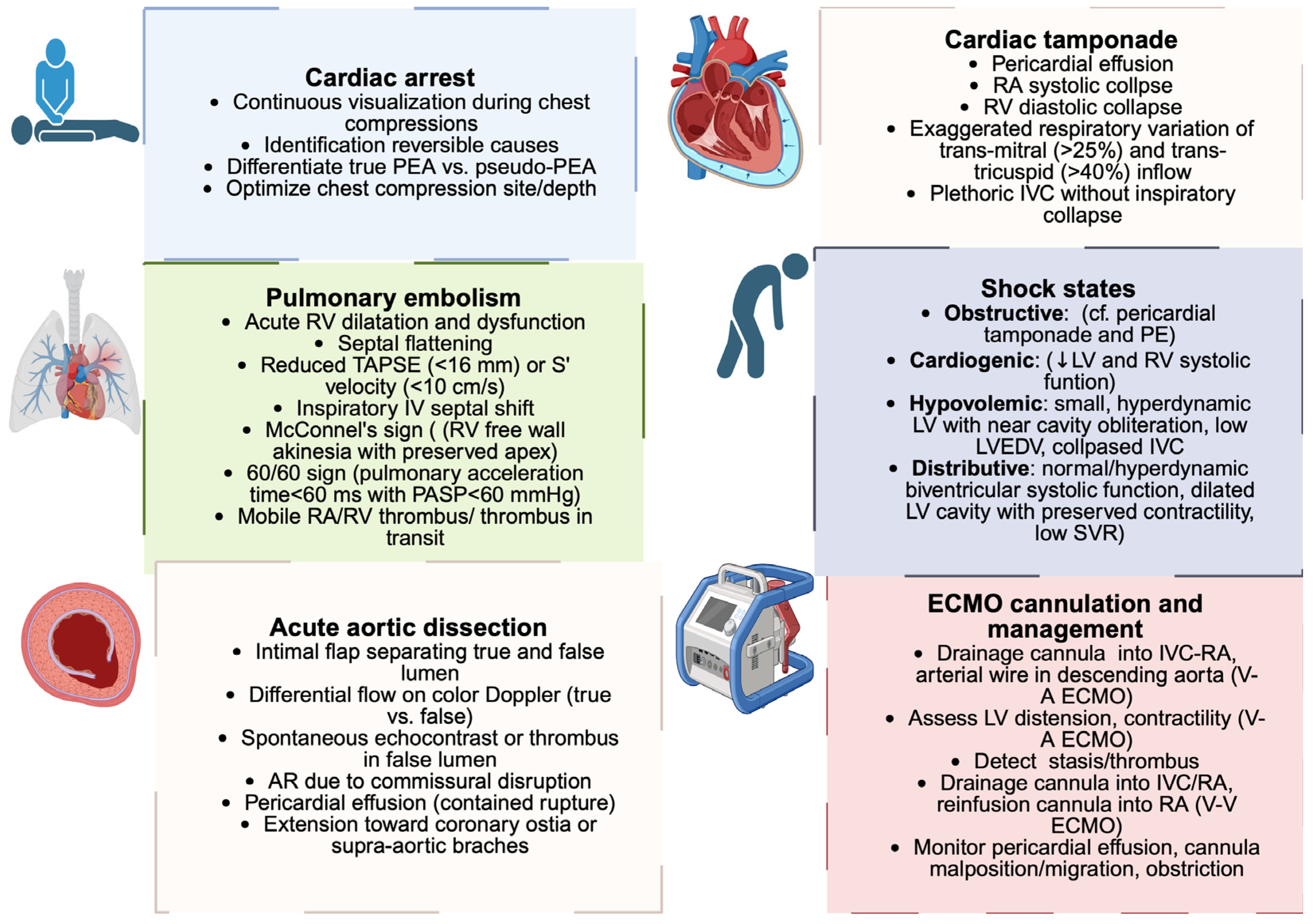 Biomedicines 13 02680 g004 Biomedicines 13 02680 g004