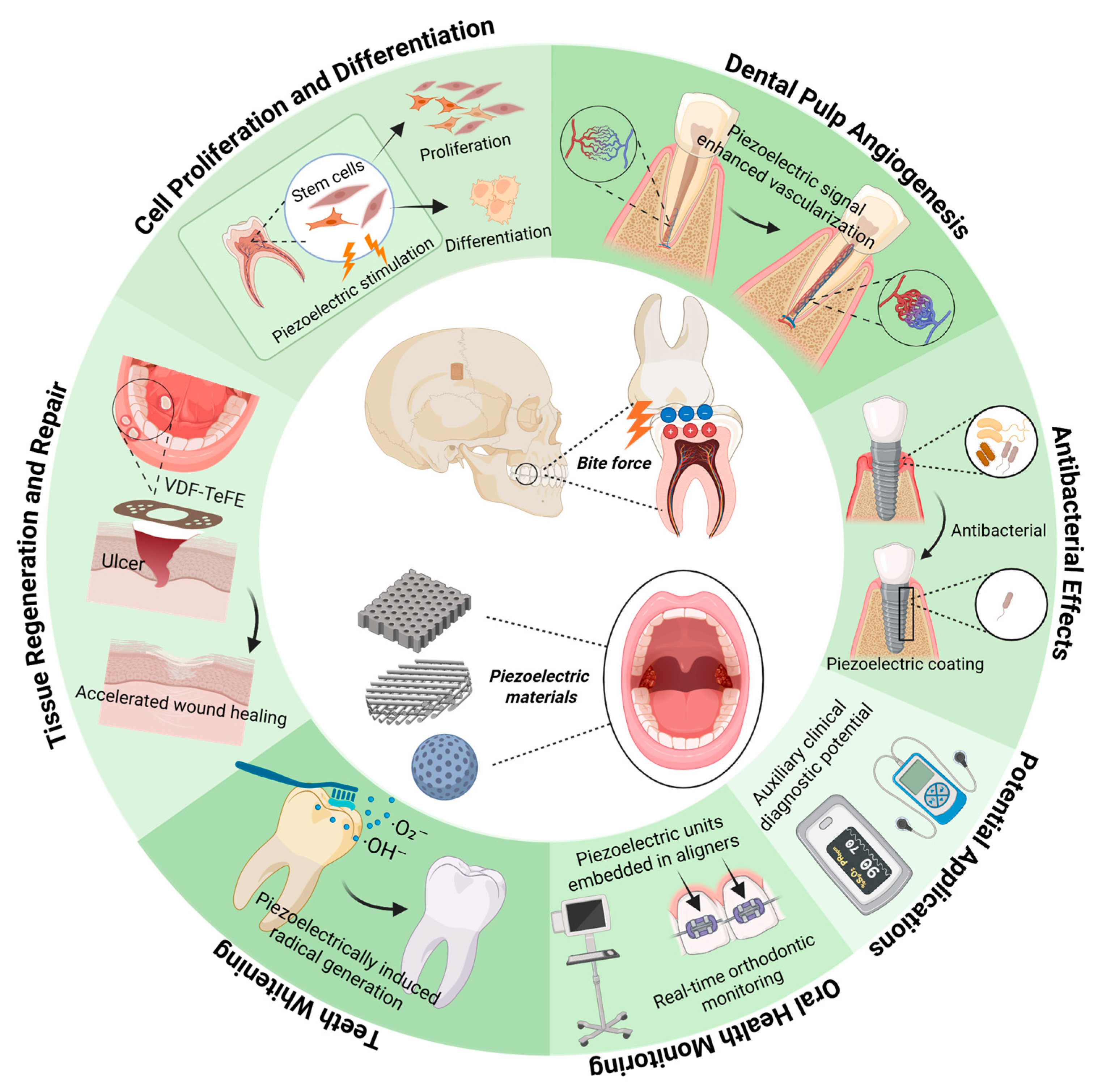 Biomedicines 13 02683 g001 Biomedicines 13 02683 g001