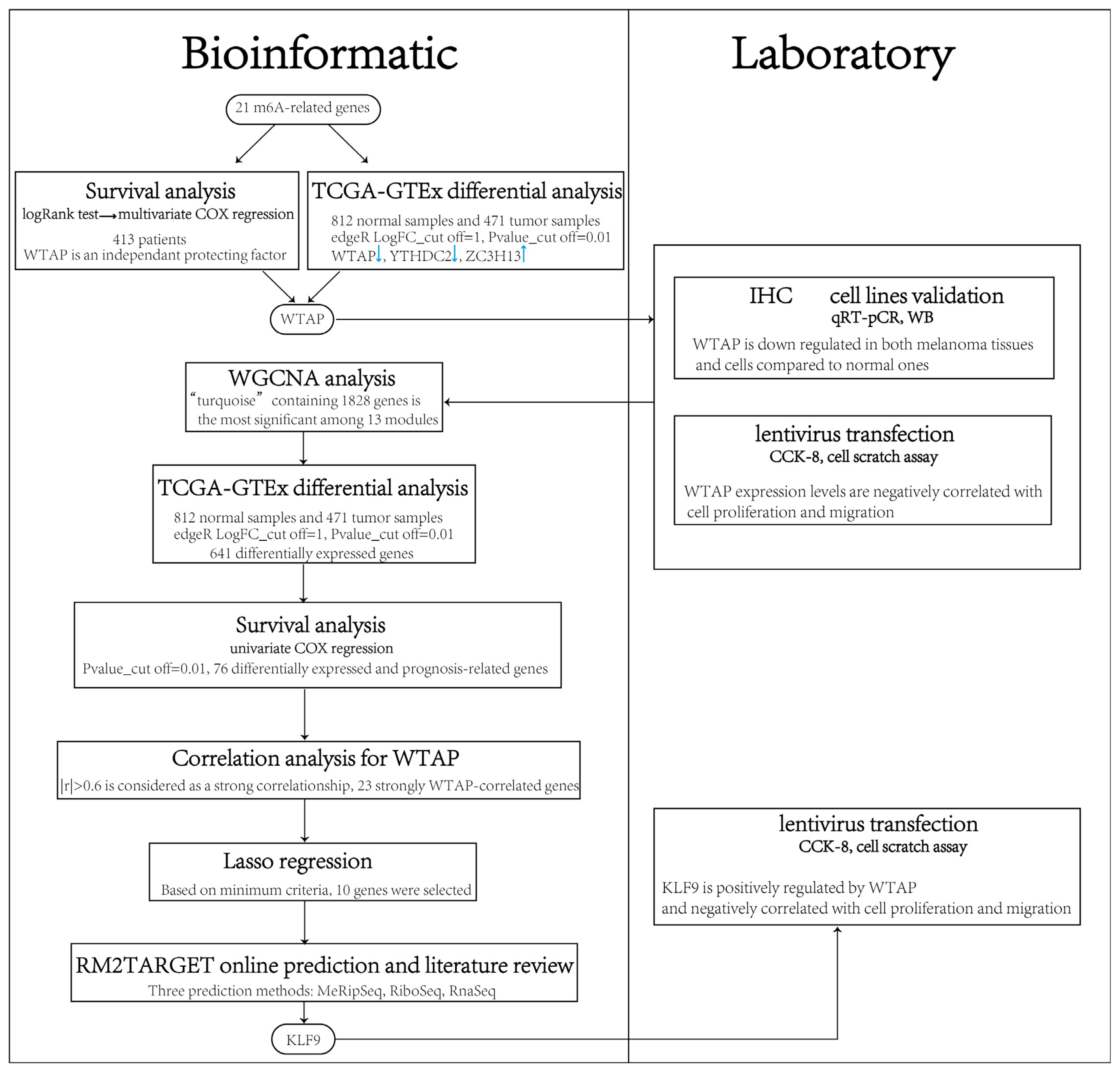 Biomedicines 13 02685 g001