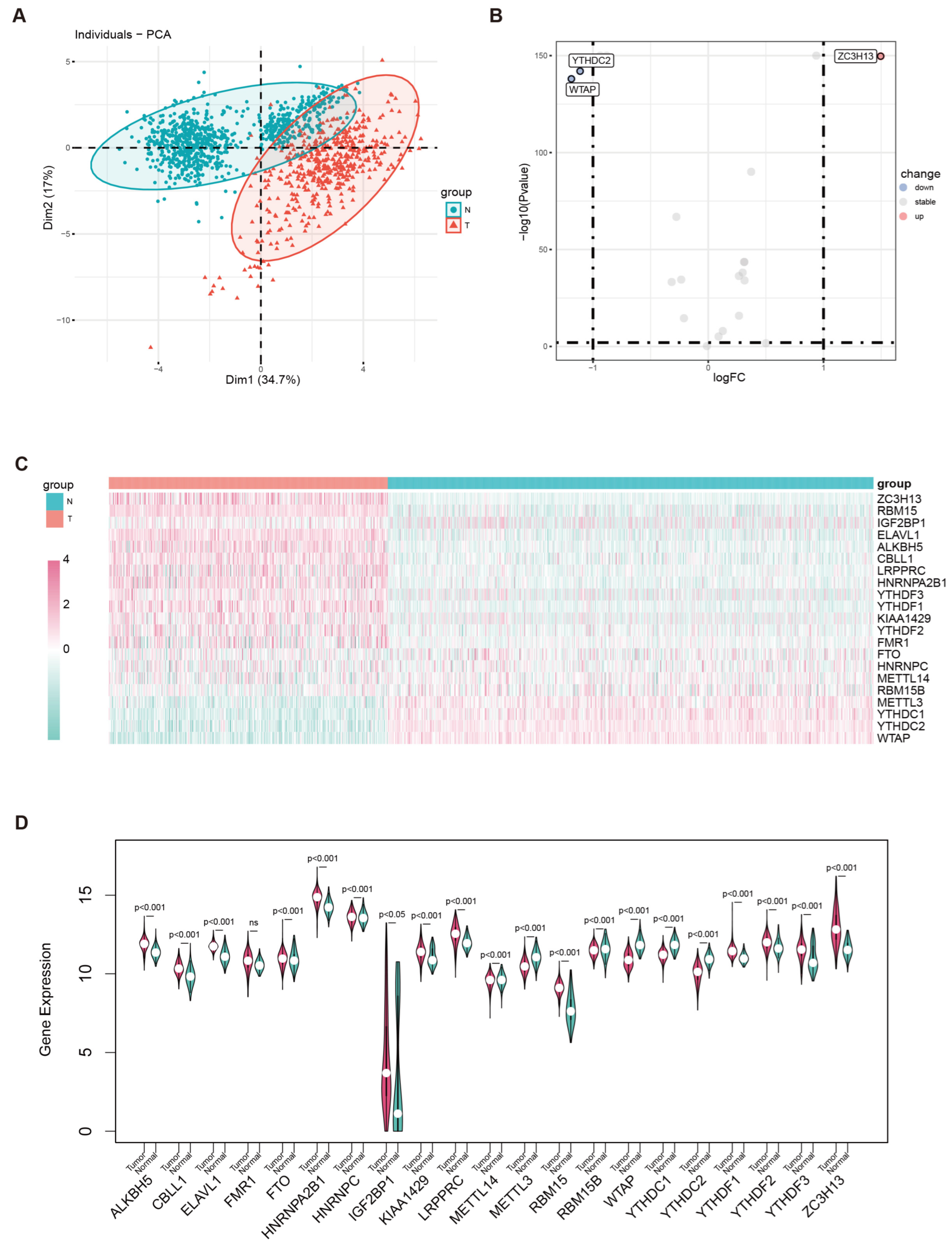 Biomedicines 13 02685 g002