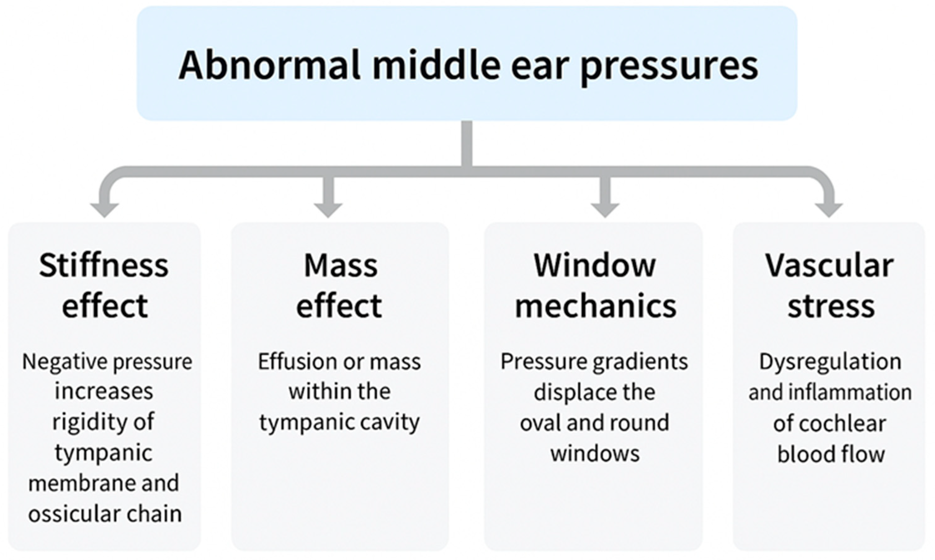 Biomedicines 13 02686 g002