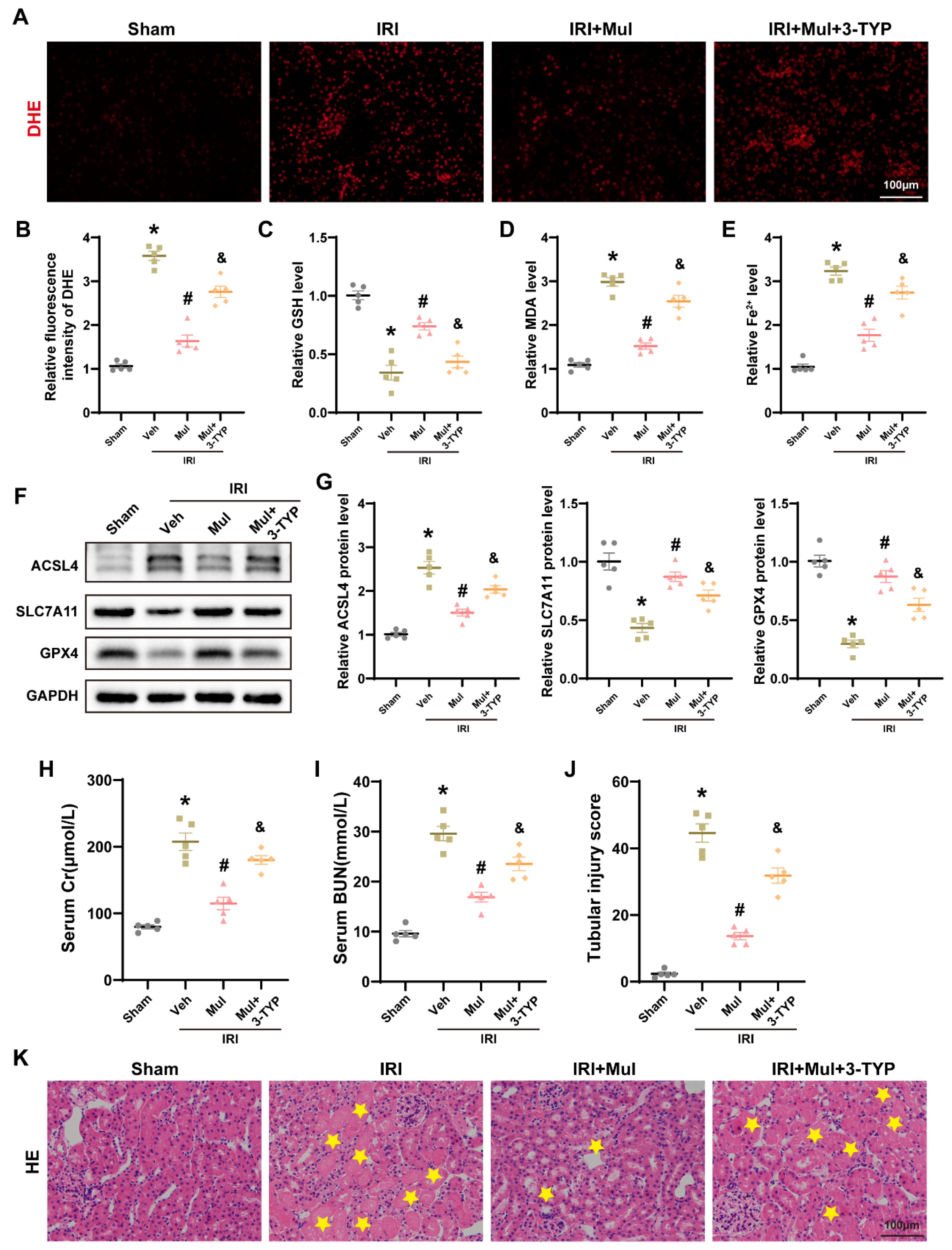 Biomedicines 13 02687 g008 Biomedicines 13 02687 g008