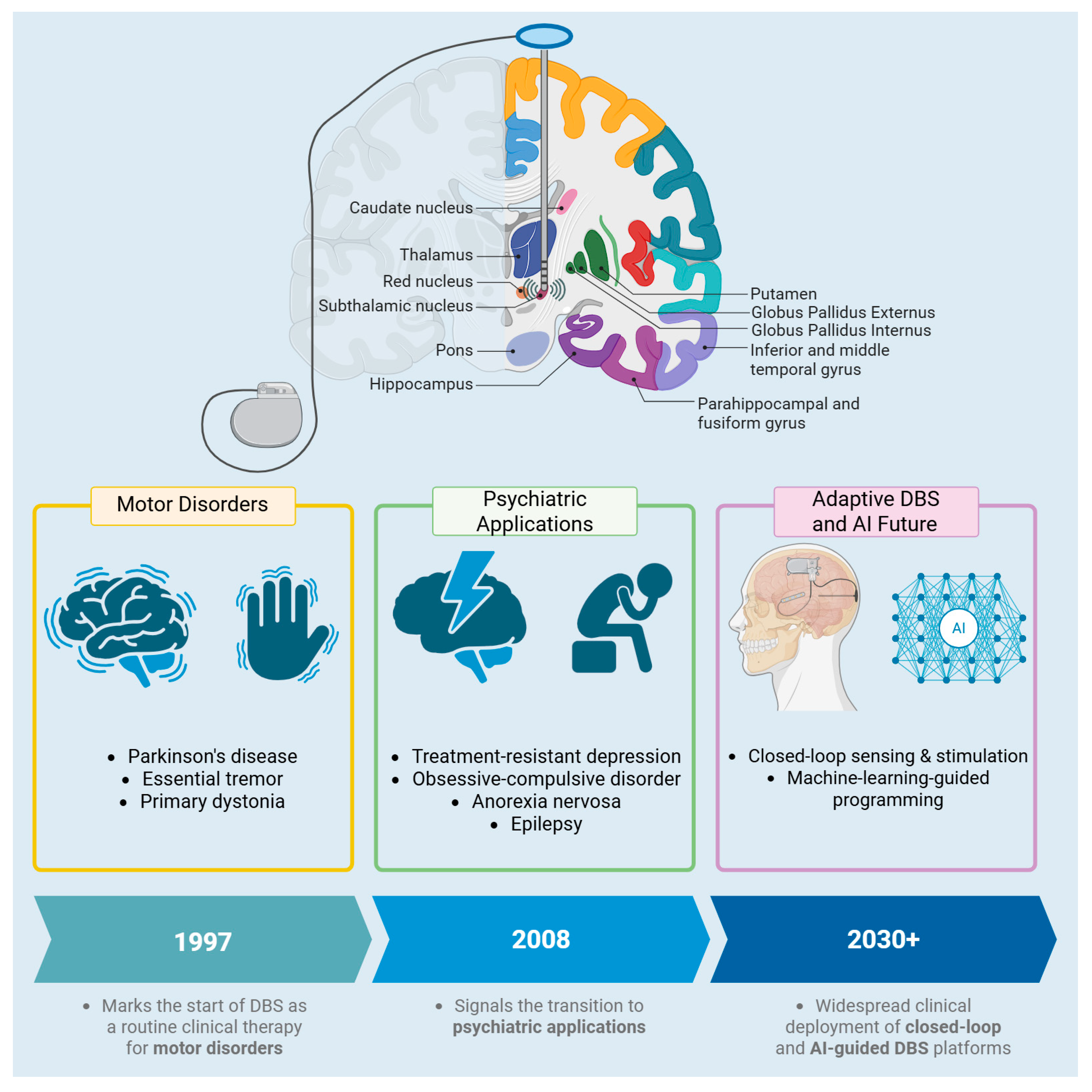Biomedicines 13 02691 g001
