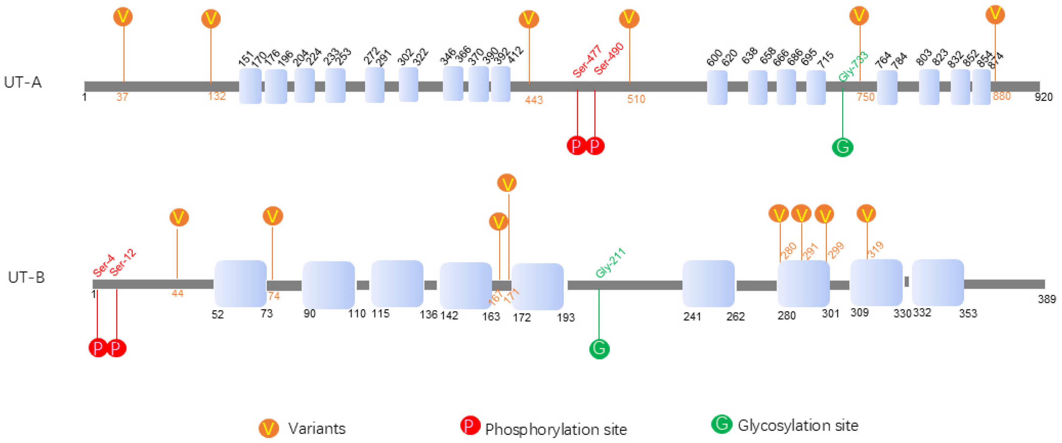 Biomedicines 13 02699 g001 Biomedicines 13 02699 g001