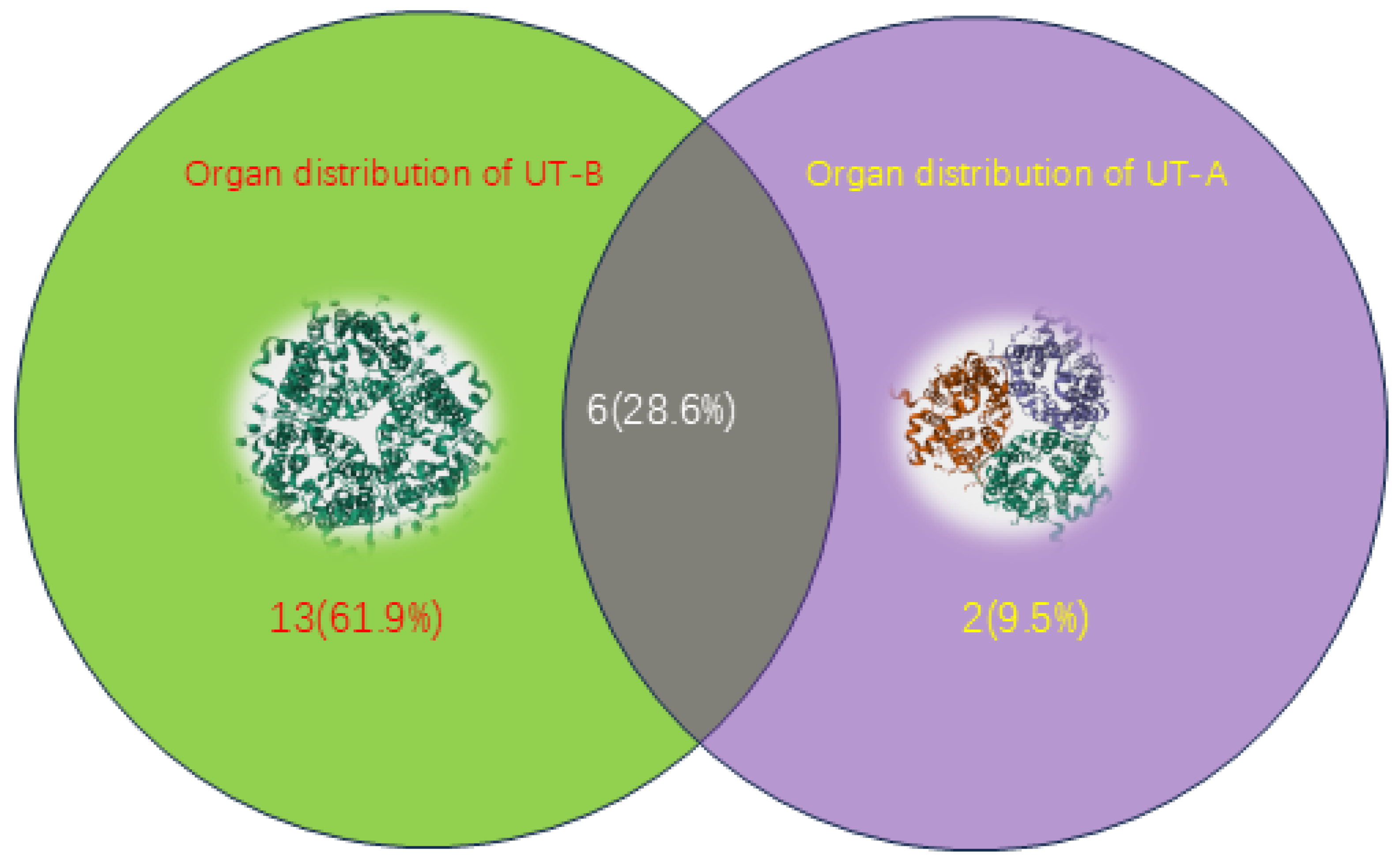 Biomedicines 13 02699 g002 Biomedicines 13 02699 g002