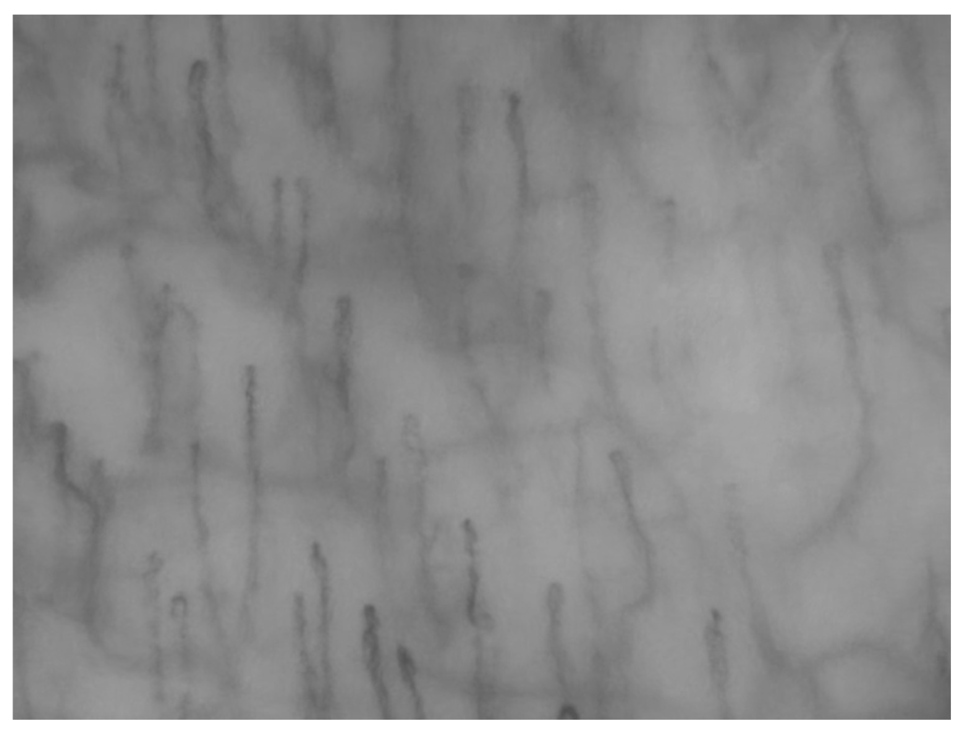 Biomedicines 13 02701 g001 Biomedicines 13 02701 g001