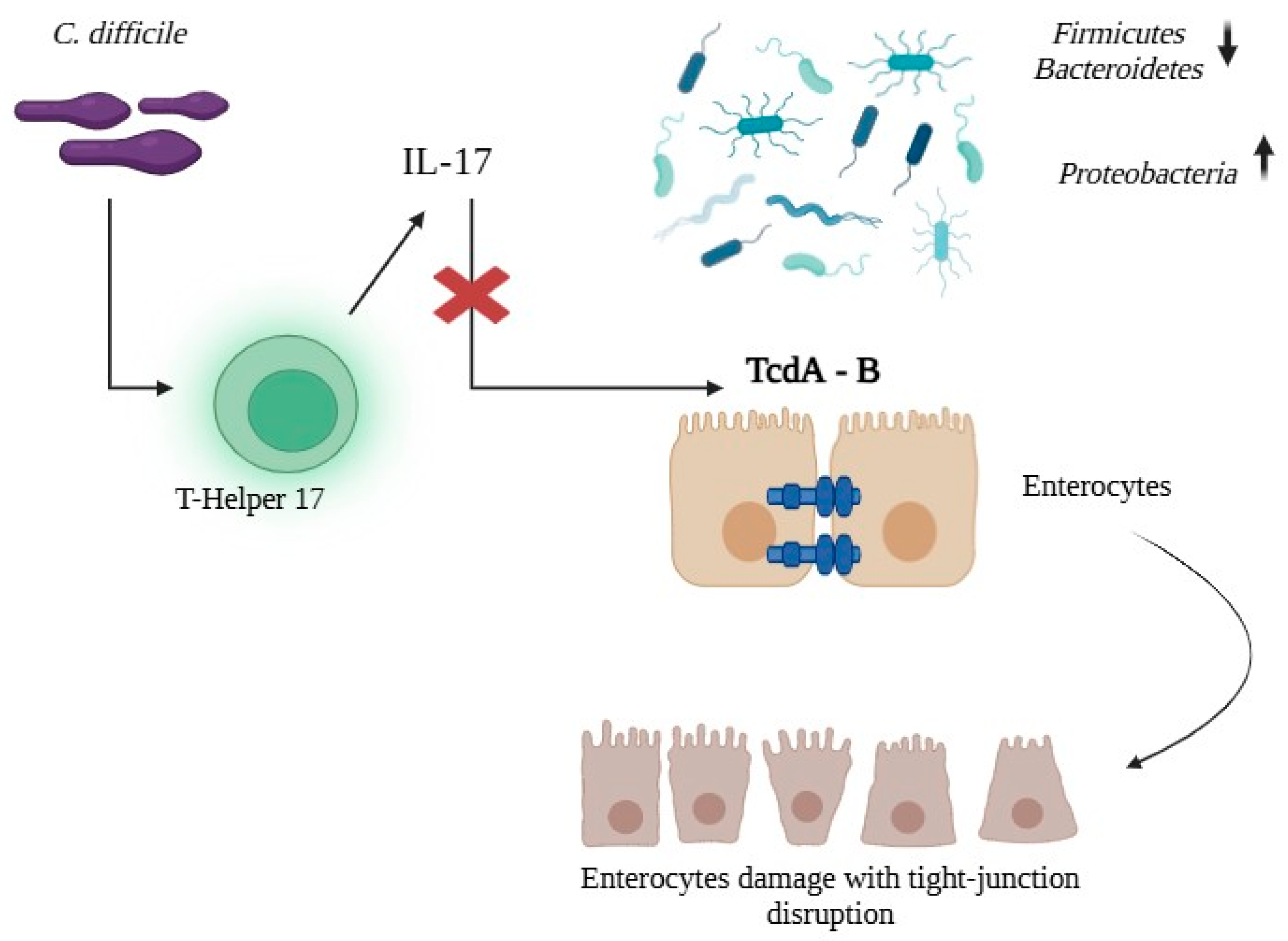 Biomedicines 13 02702 g001