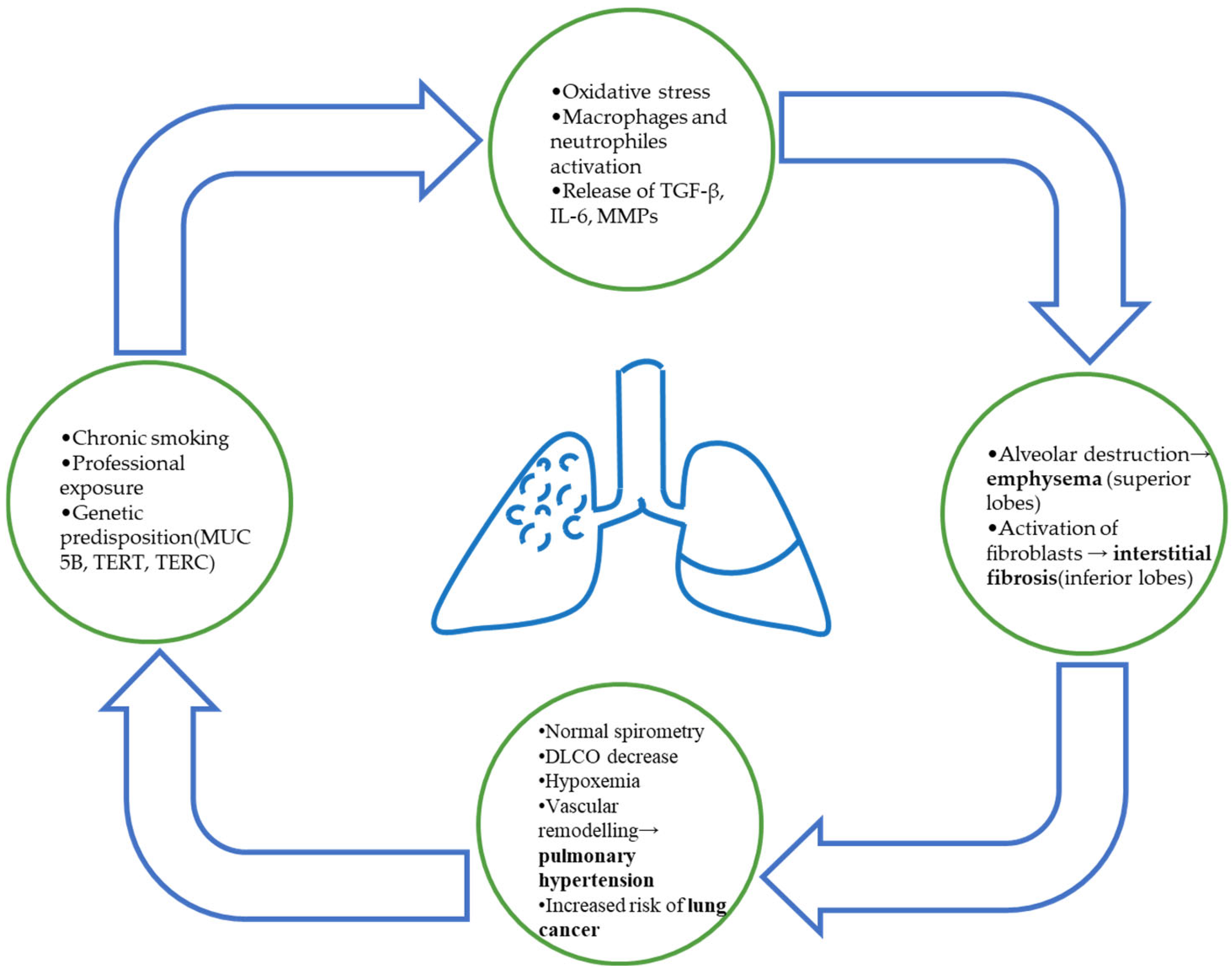 Biomedicines 13 02703 g001
