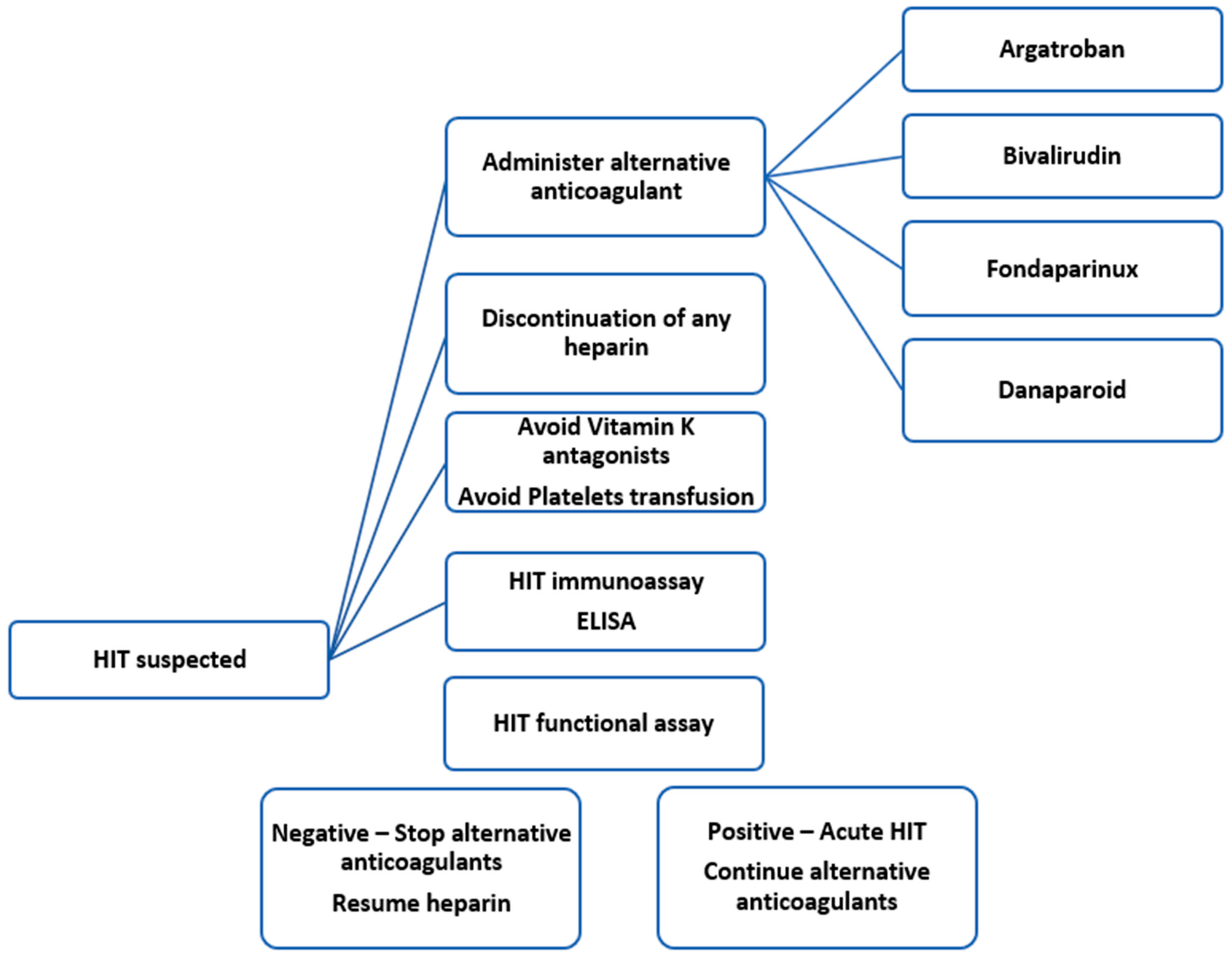 Biomedicines 13 02705 g003 Biomedicines 13 02705 g003