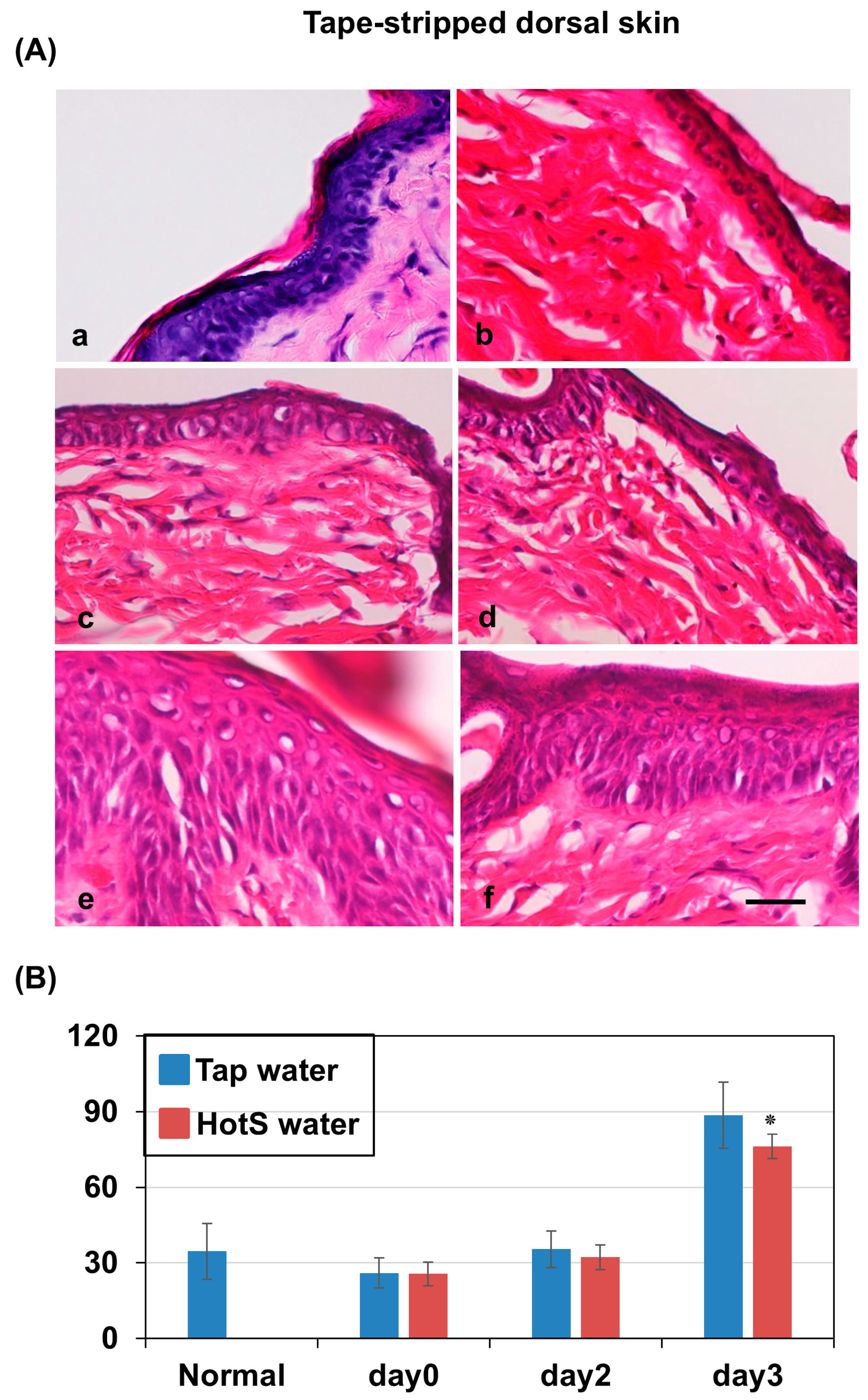 Biomedicines 13 02707 g002 Biomedicines 13 02707 g002
