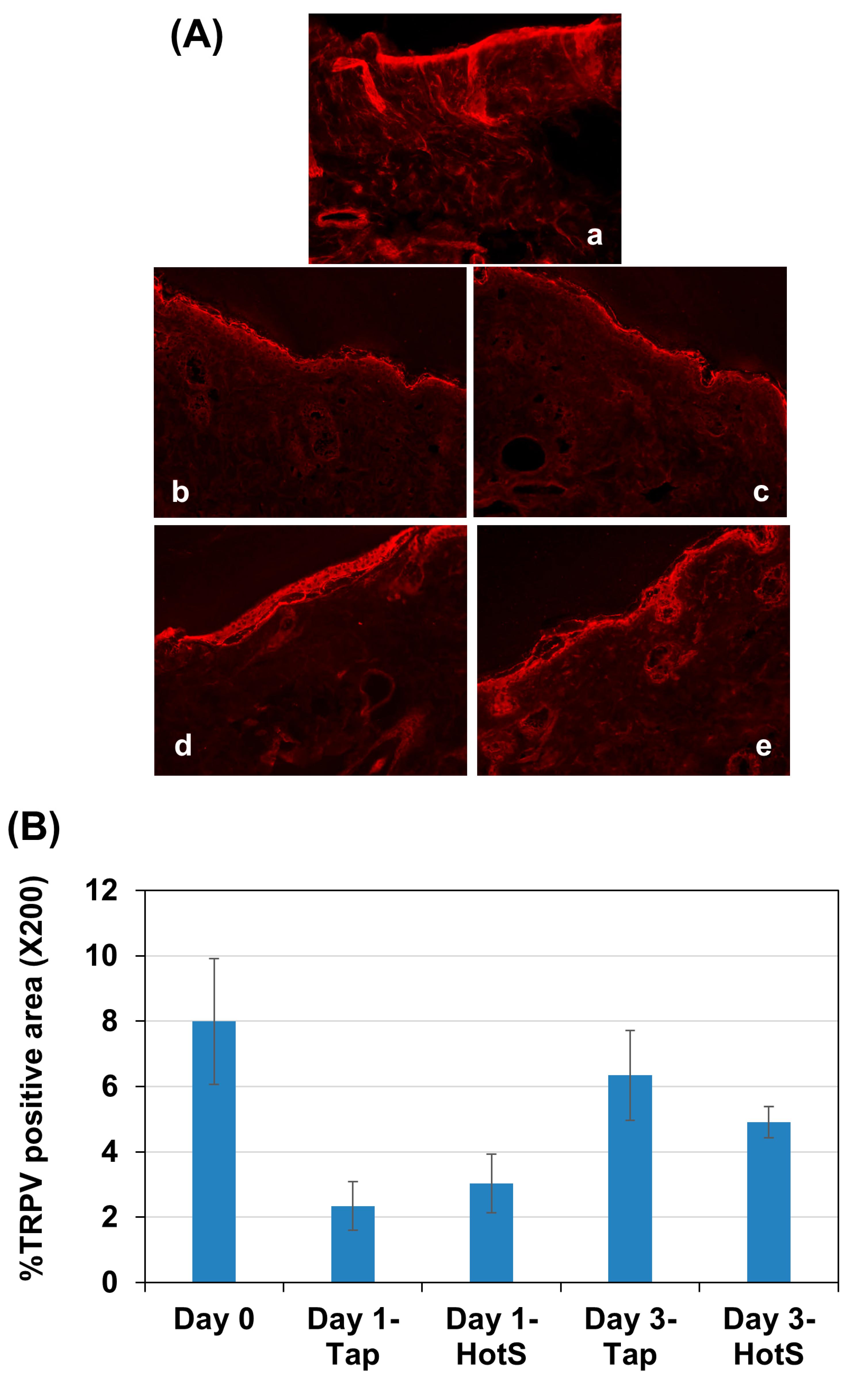Biomedicines 13 02707 g004 Biomedicines 13 02707 g004