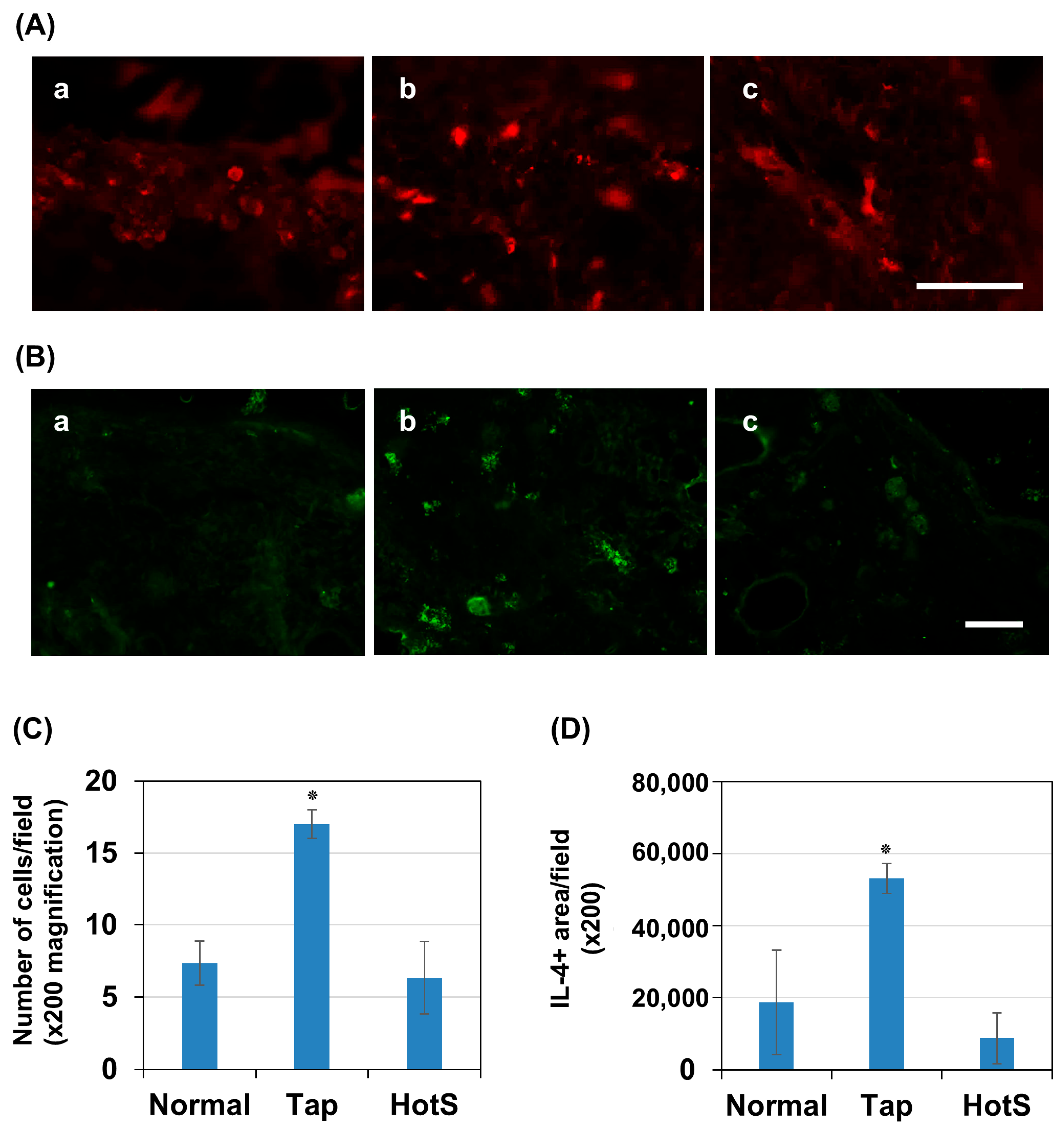 Biomedicines 13 02707 g007 Biomedicines 13 02707 g007