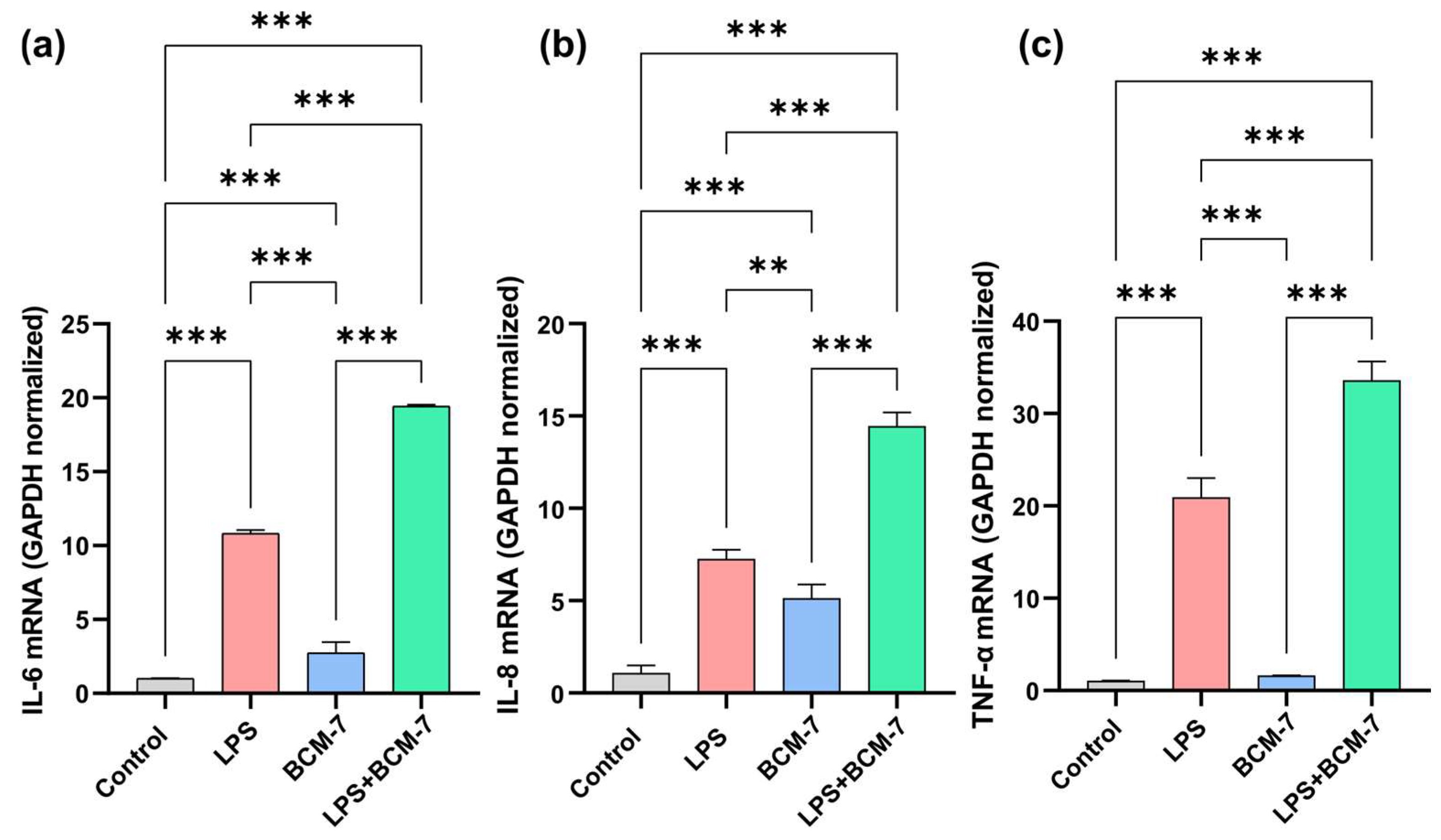 Biomedicines 13 02712 g003 Biomedicines 13 02712 g003