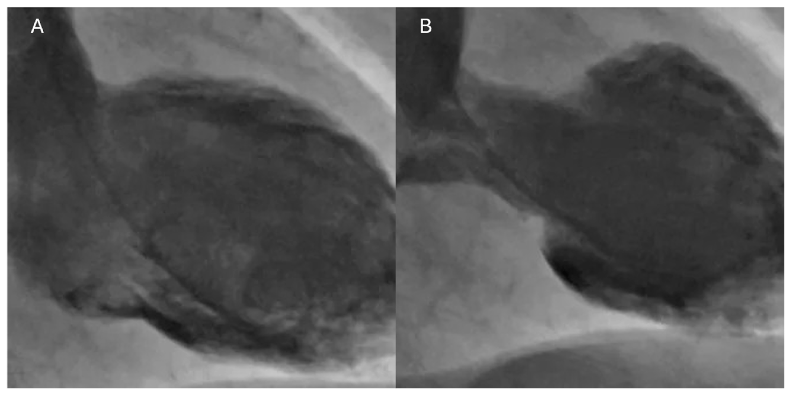 Biomedicines 13 02718 g002 Biomedicines 13 02718 g002