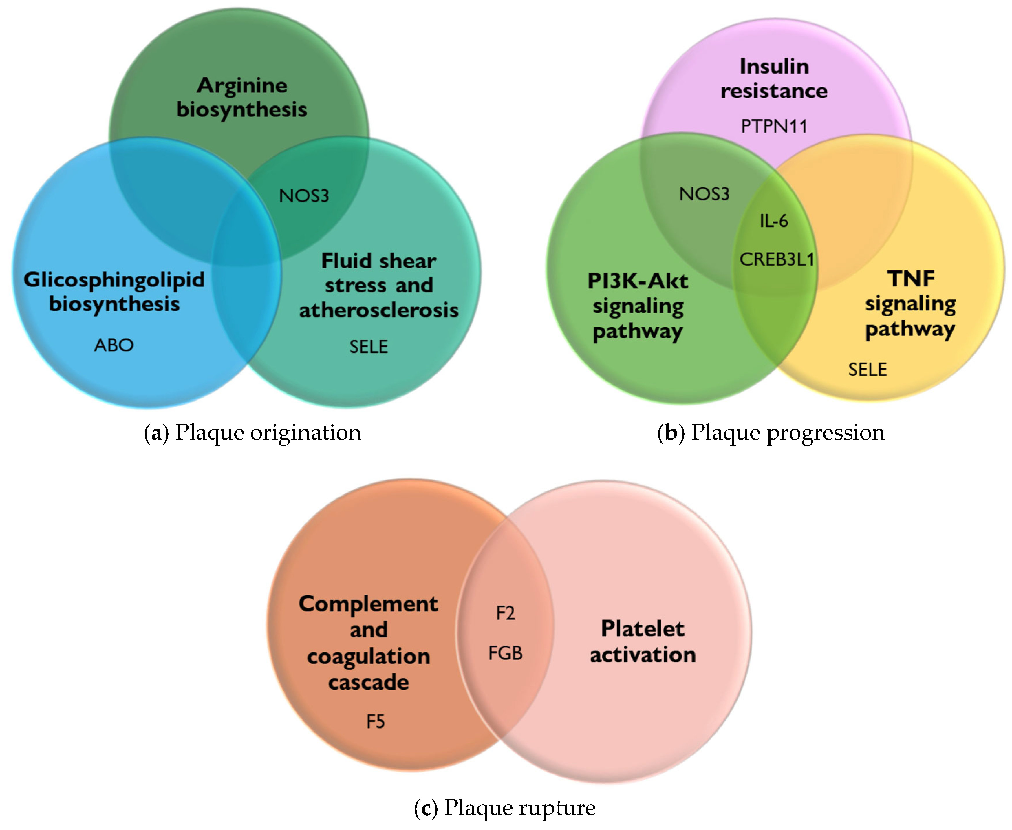 Biomedicines 13 02723 g002