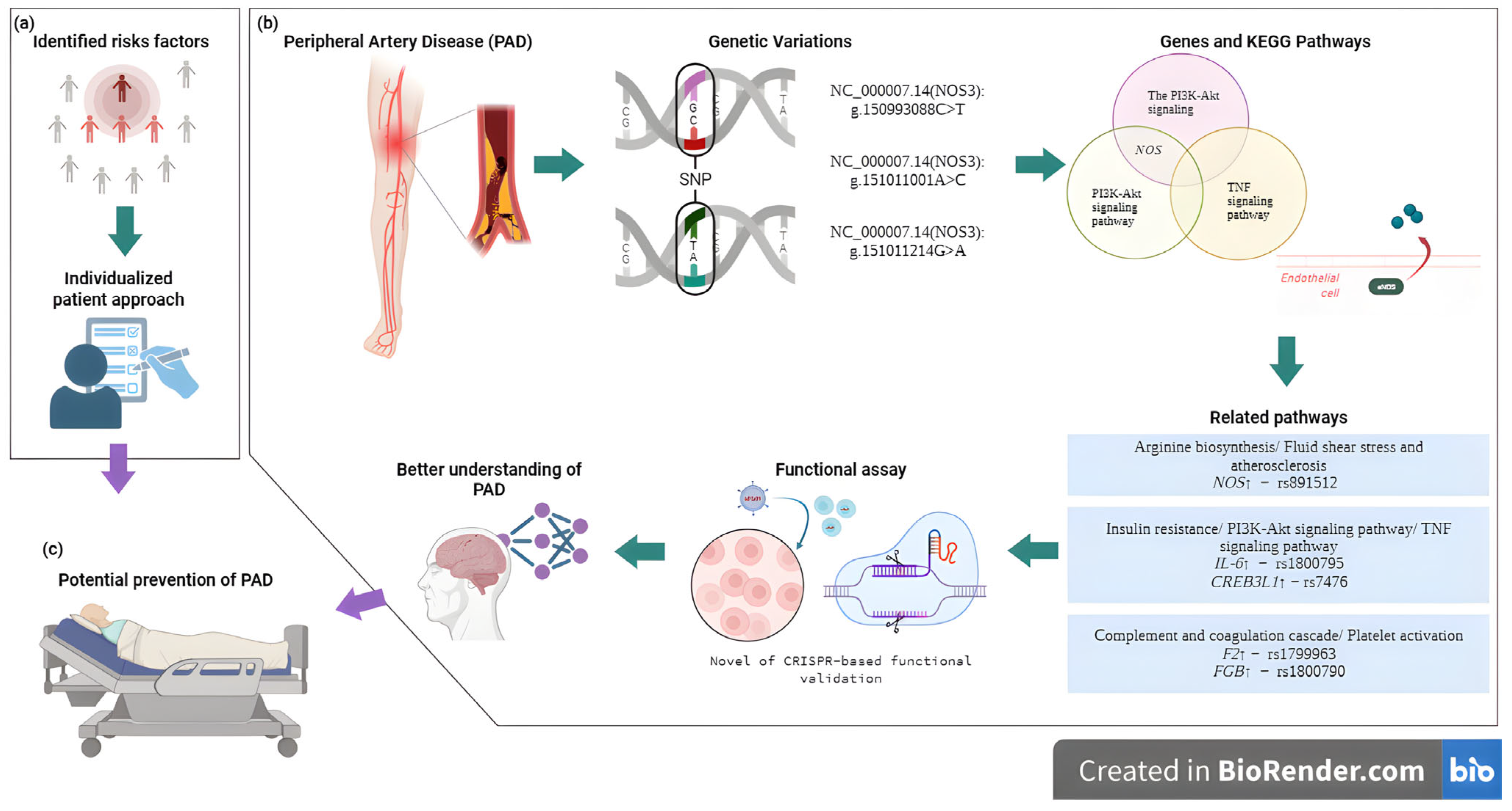 Biomedicines 13 02723 g003