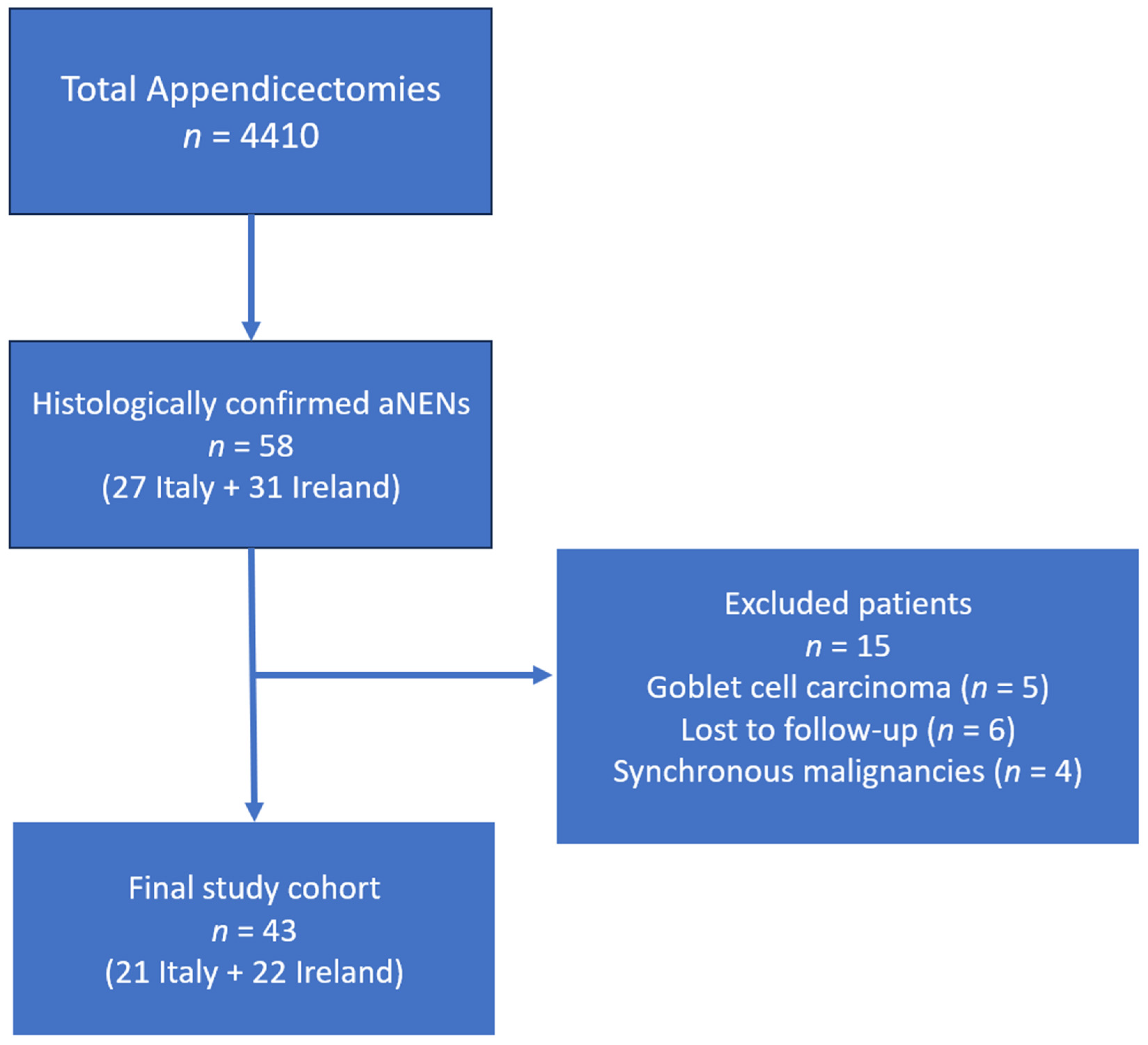 Biomedicines 13 02724 g001 Biomedicines 13 02724 g001
