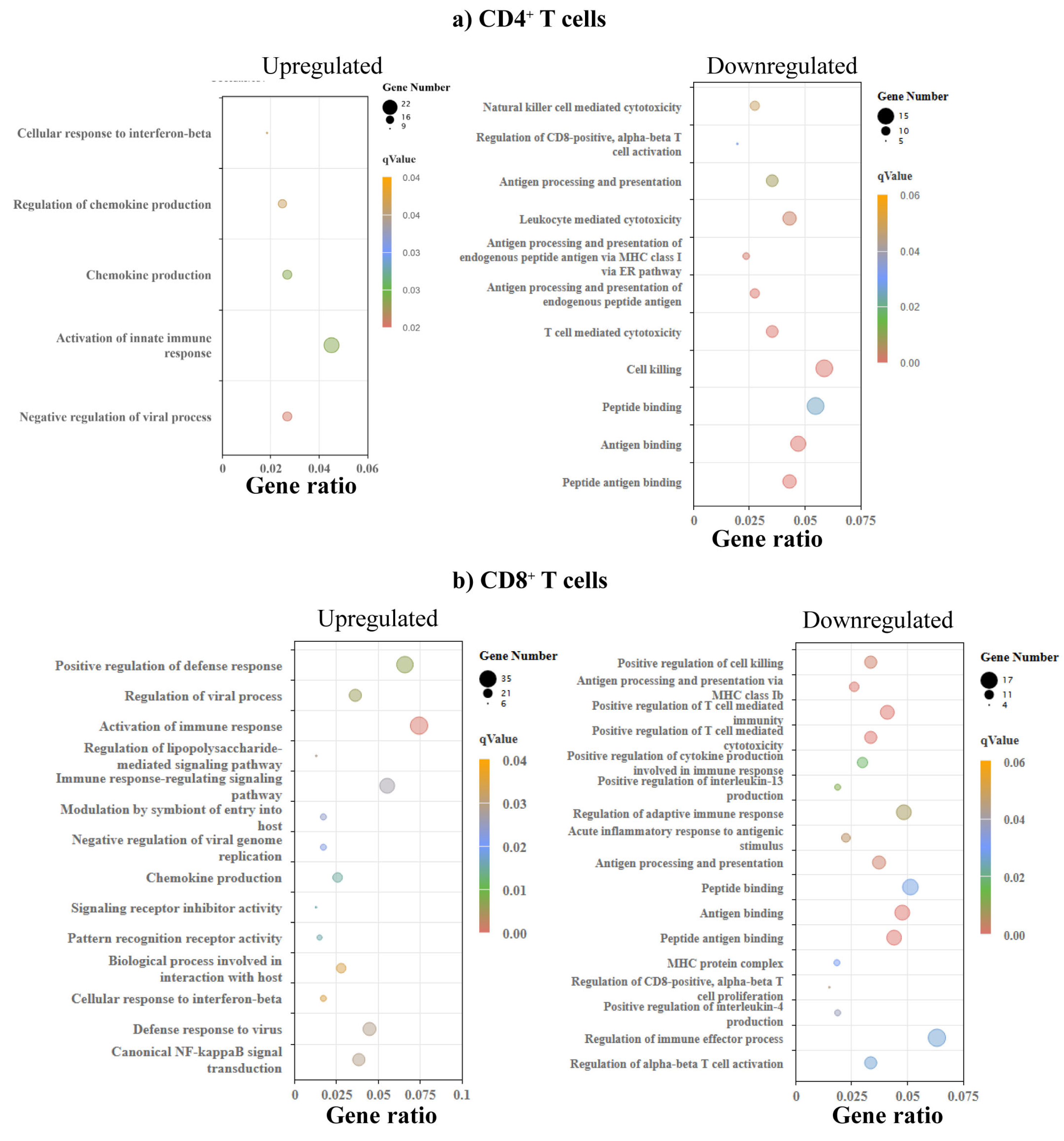 Biomedicines 13 02725 g004