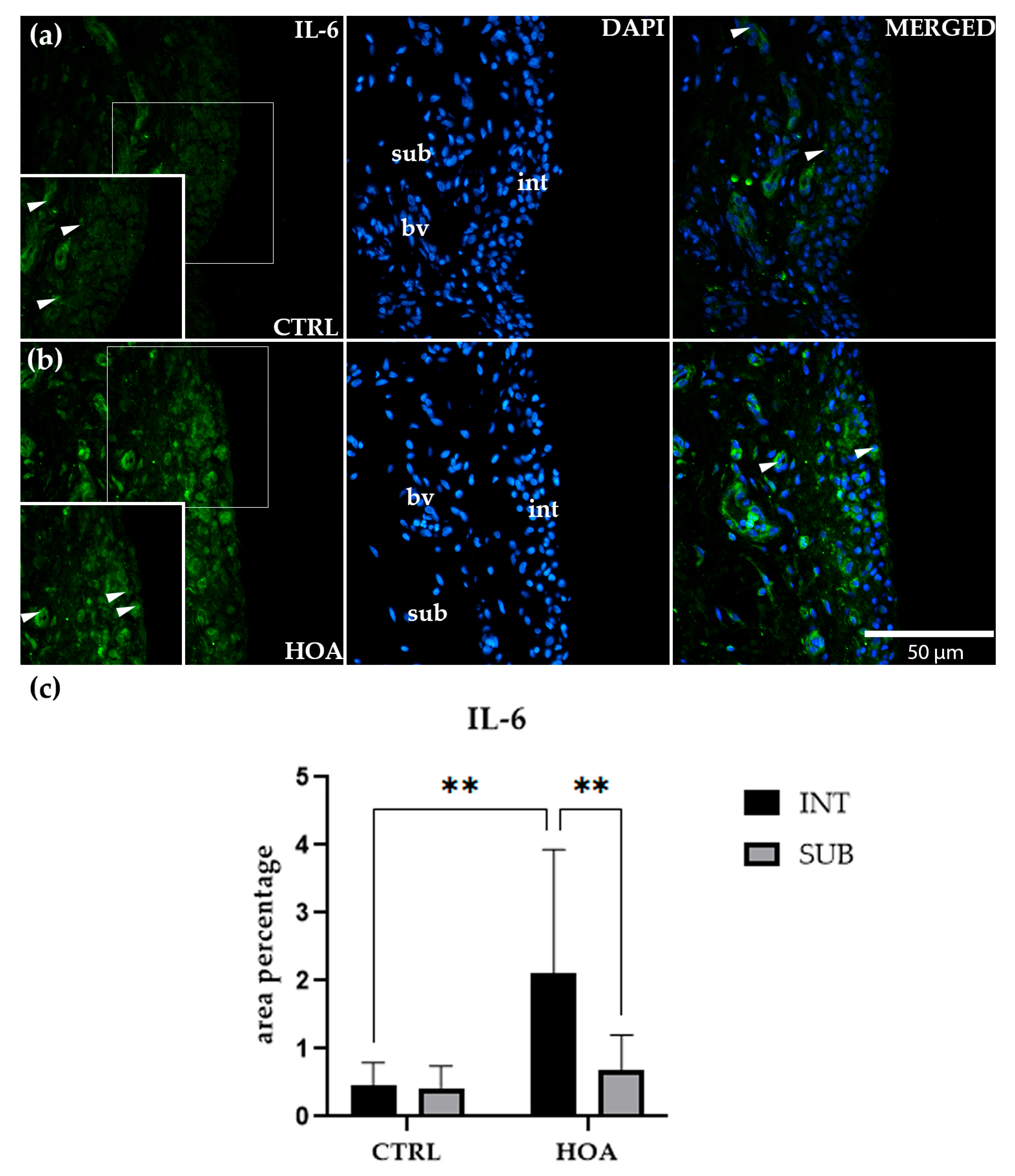 Biomedicines 13 02732 g004 Biomedicines 13 02732 g004