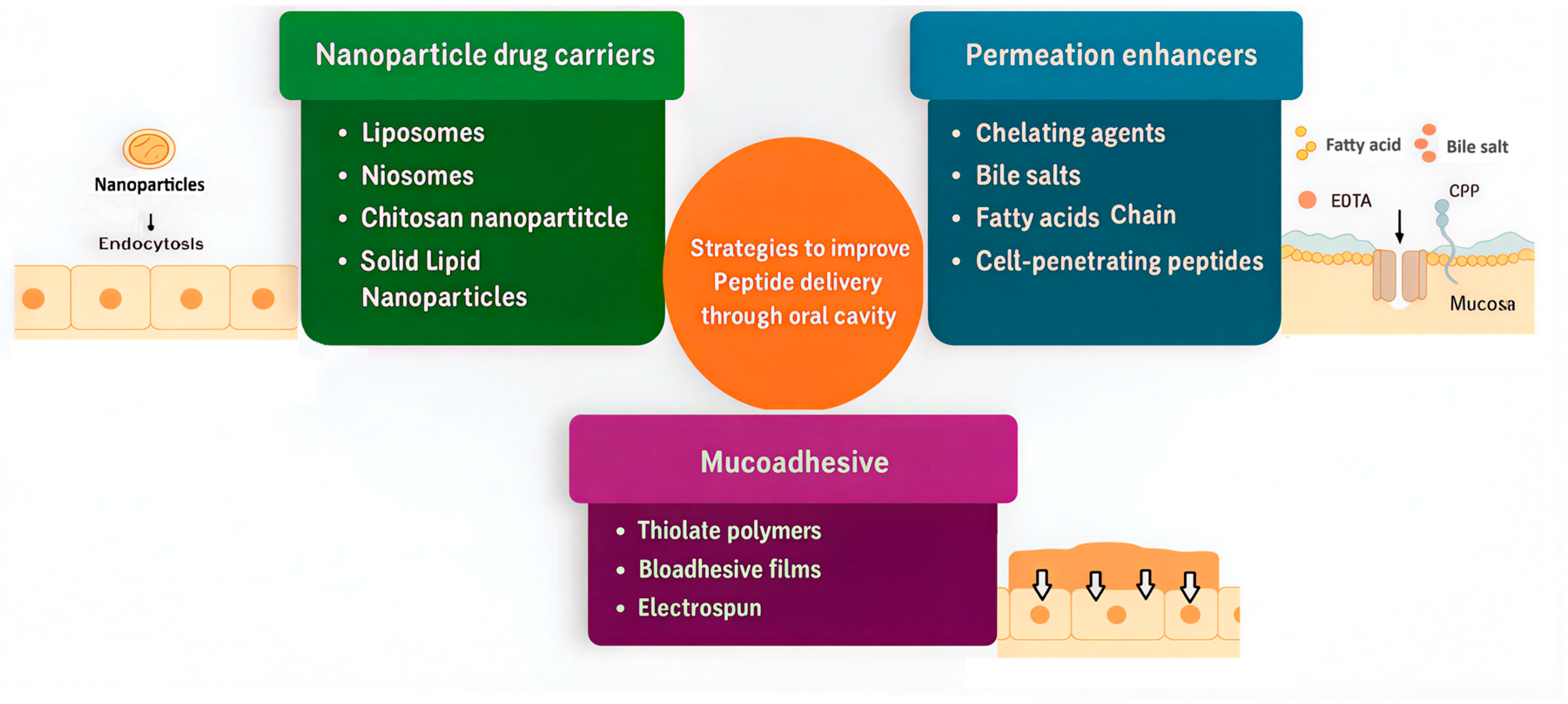 Biomedicines 13 02735 g003