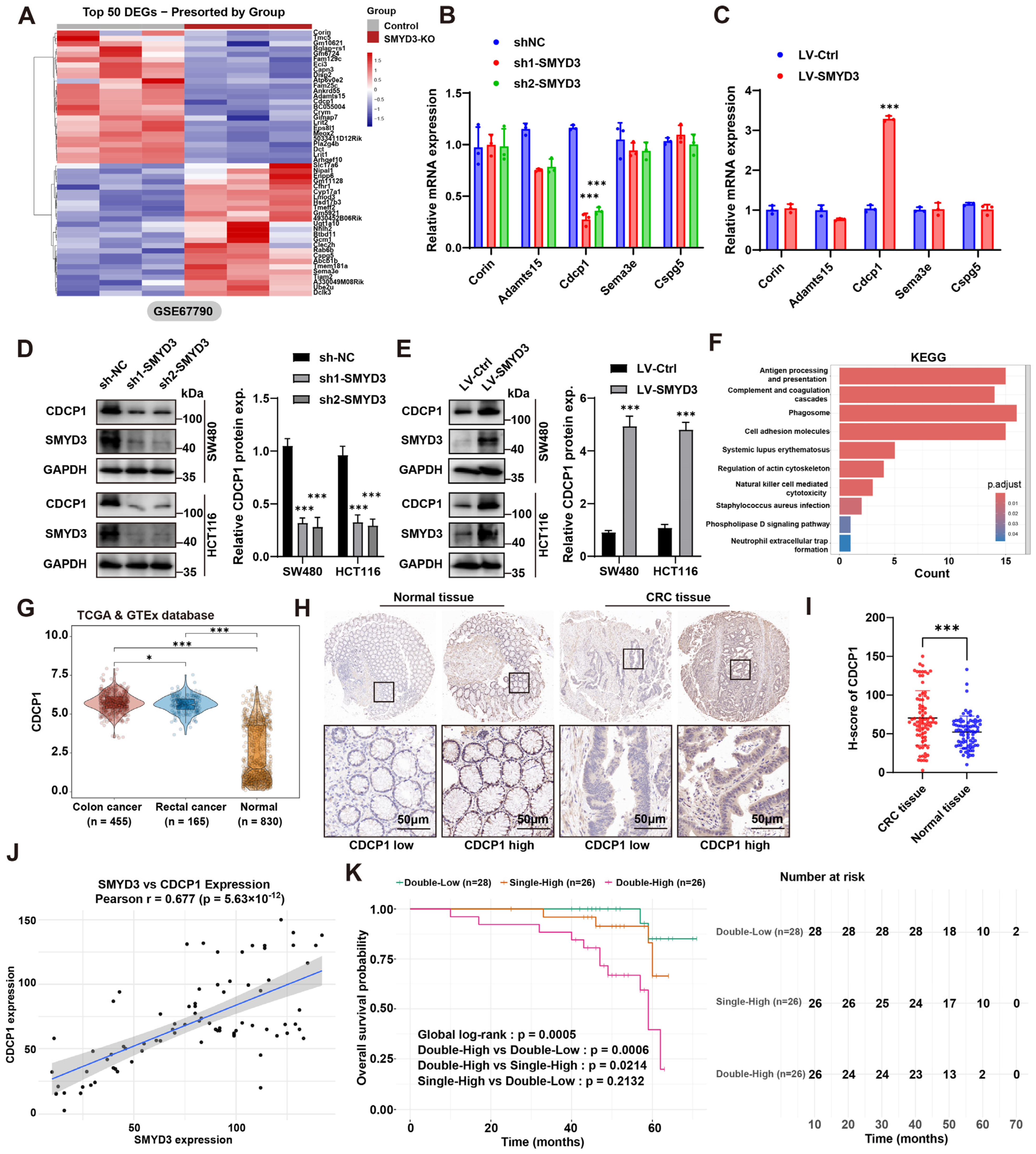 Biomedicines 13 02737 g003 Biomedicines 13 02737 g003