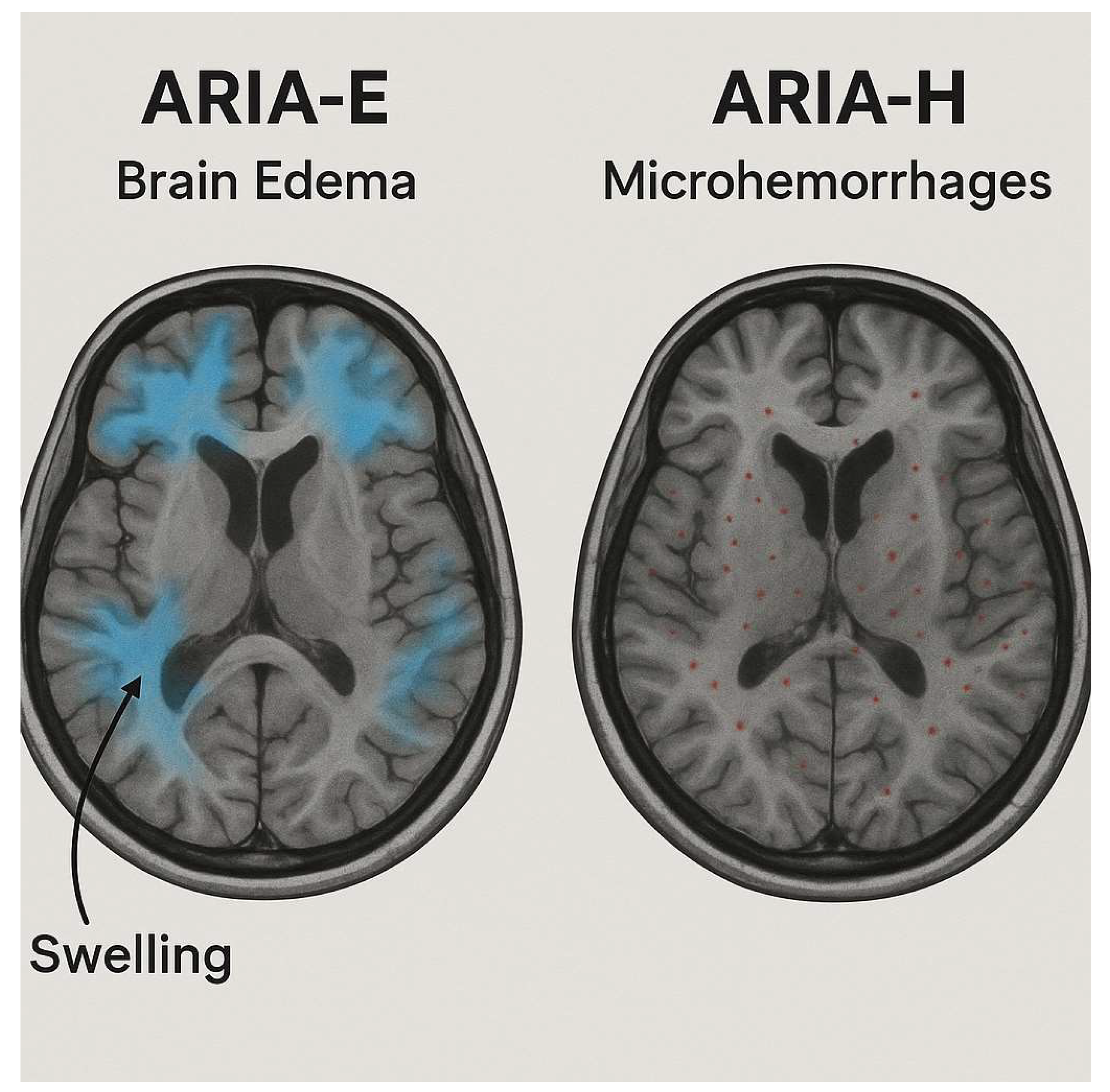 Biomedicines 13 02739 g001